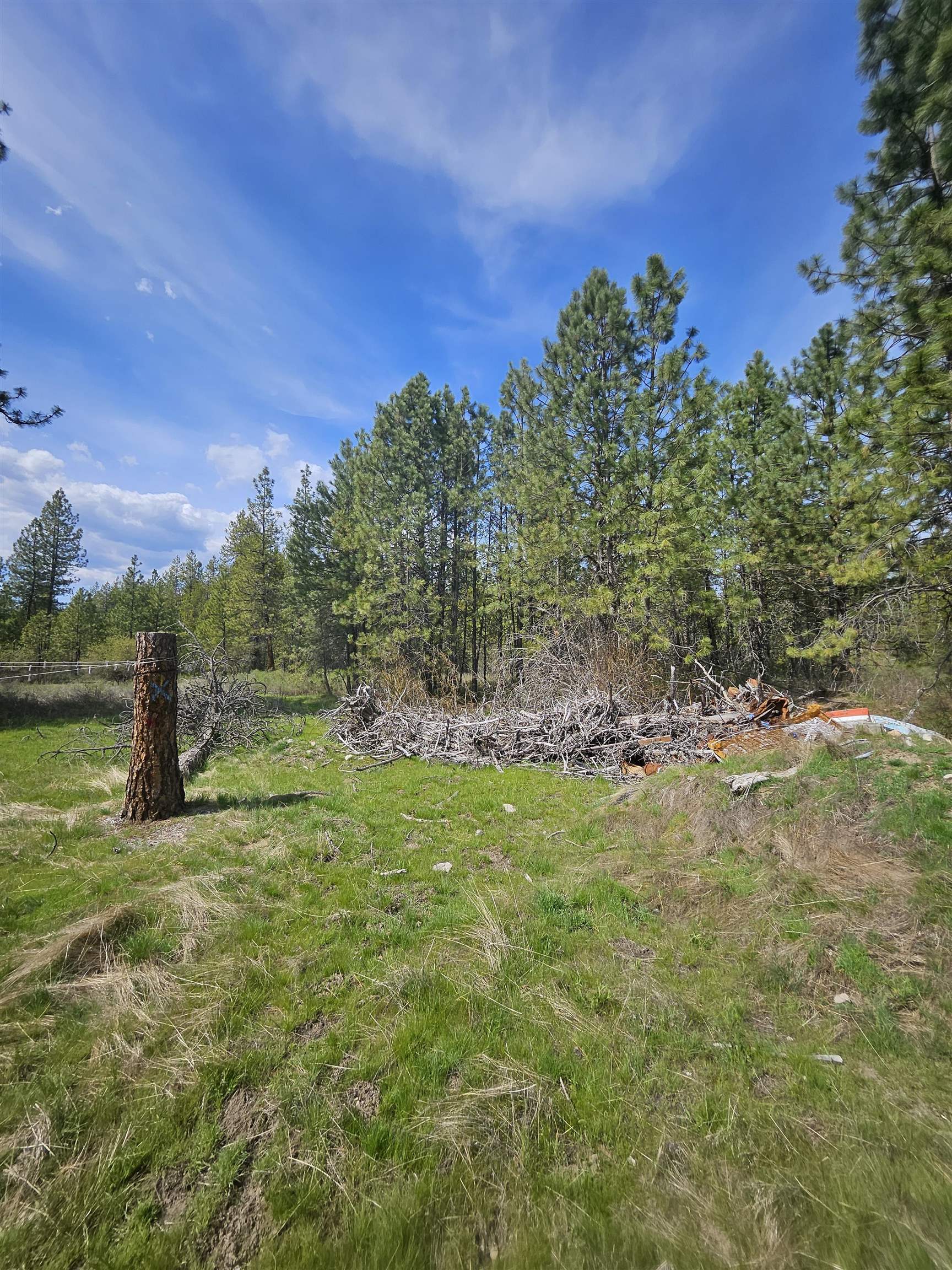 4464 Woods Way Rd - Photo 18