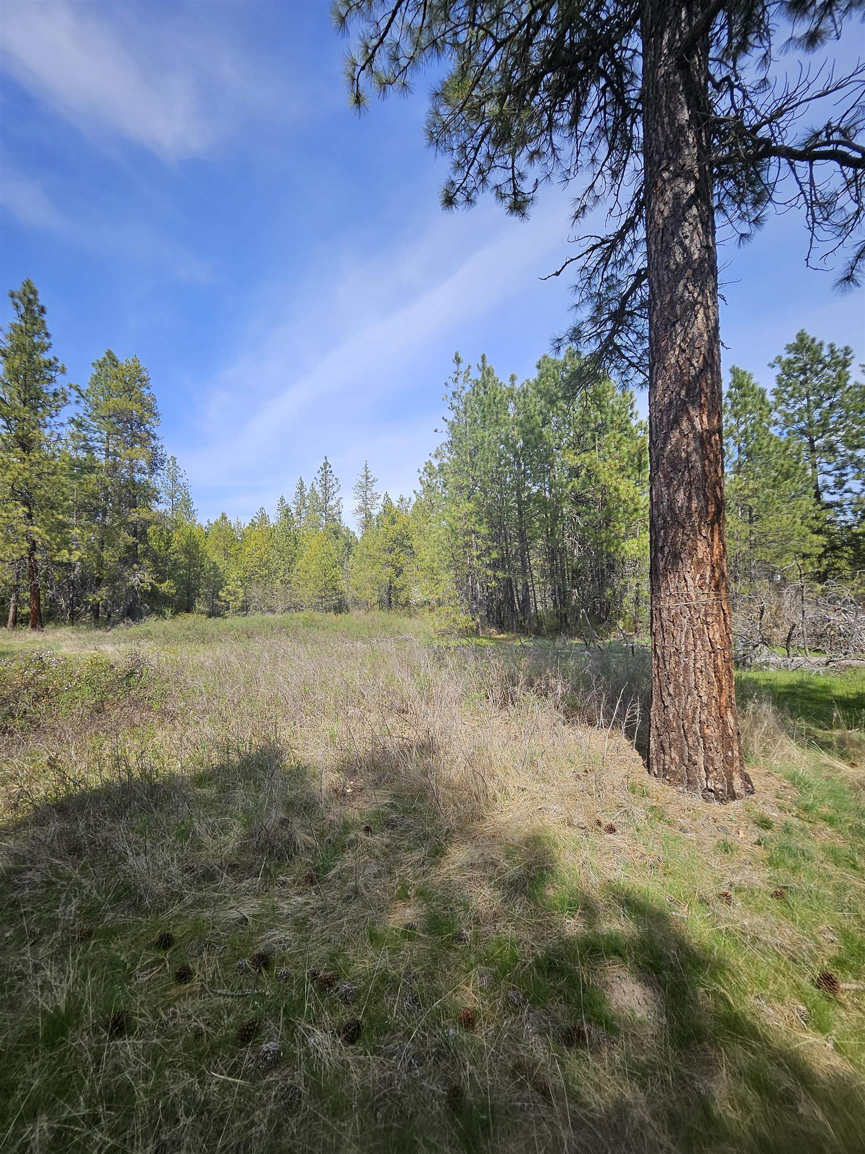 4464 Woods Way Rd - Photo 21