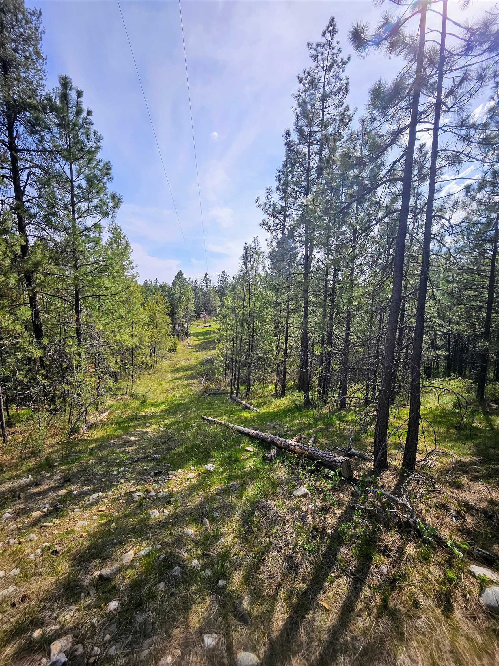 4464 Woods Way Rd - Photo 22