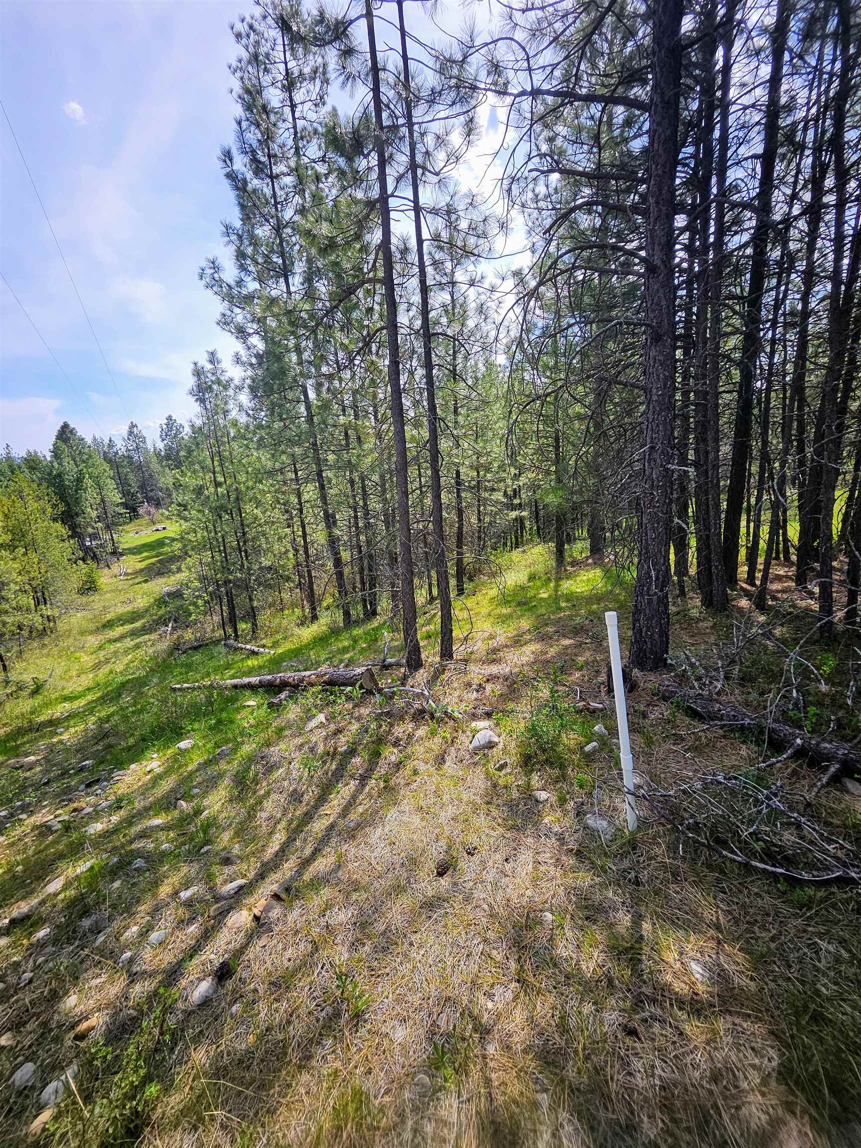 4464 Woods Way Rd - Photo 23