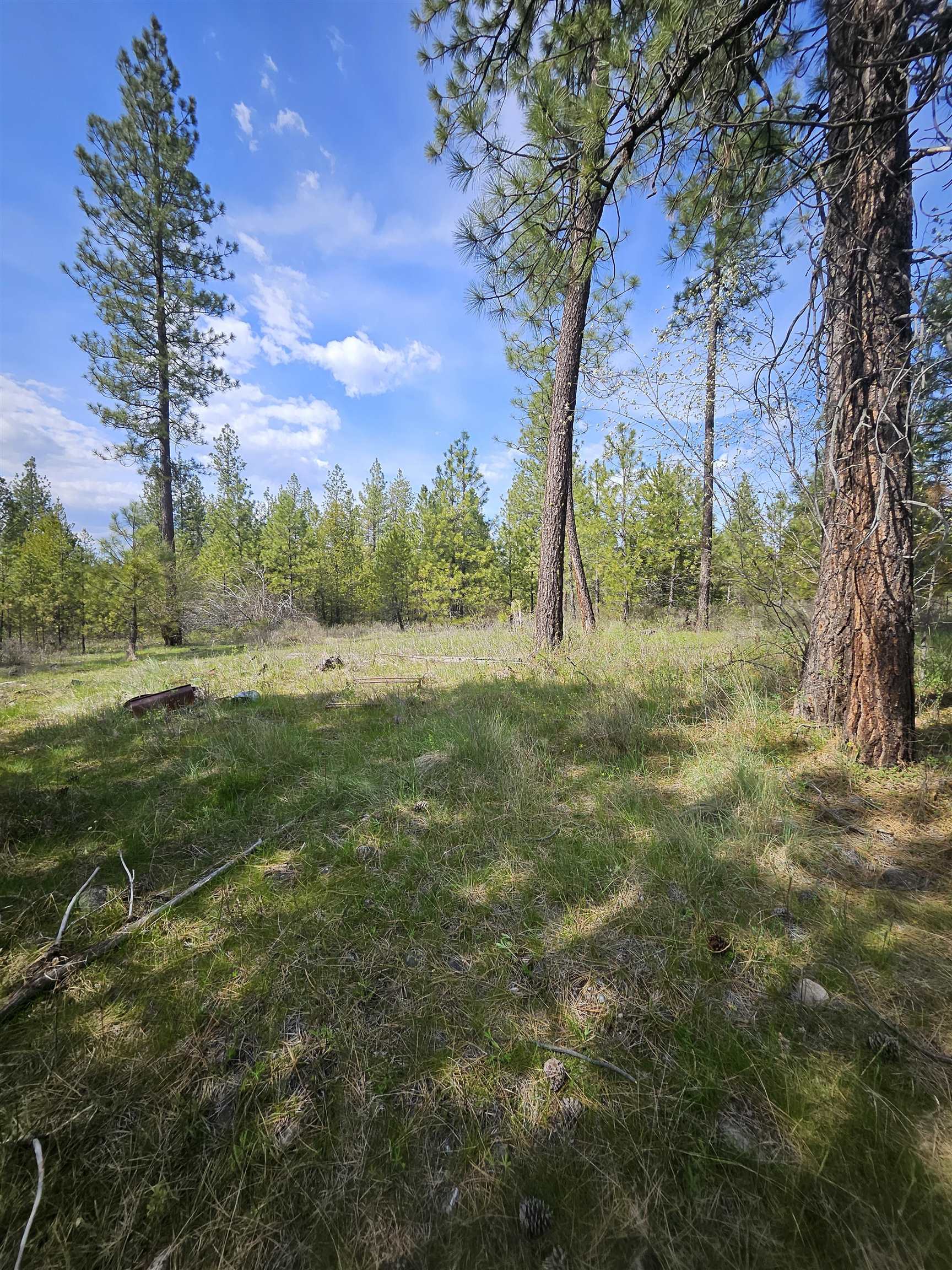 4464 Woods Way Rd - Photo 24