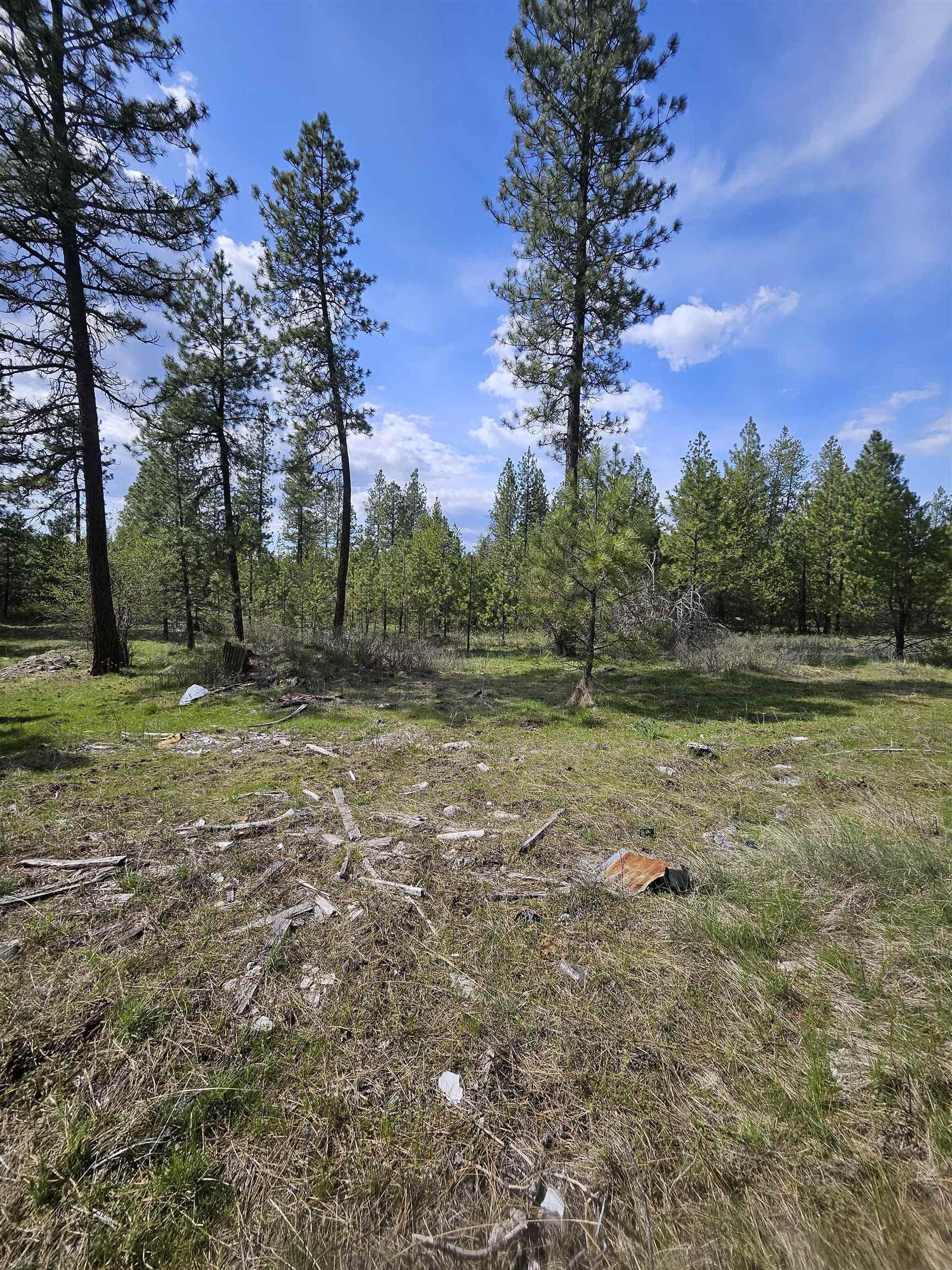 4464 Woods Way Rd - Photo 25