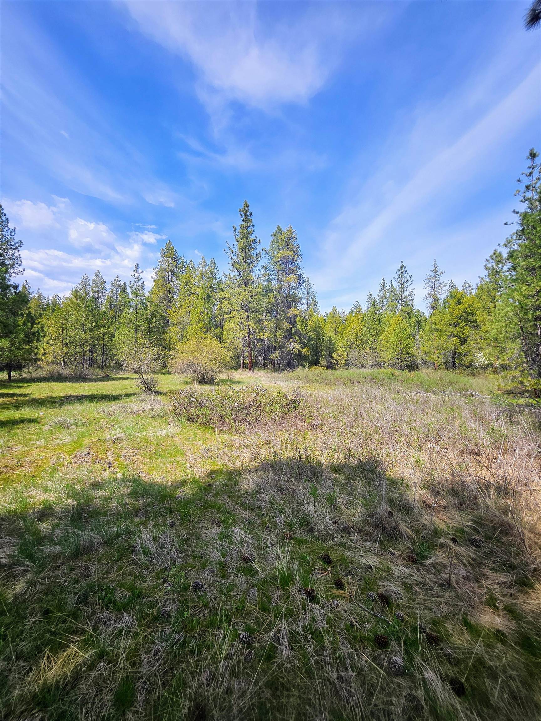 4464 Woods Way Rd - Photo 26
