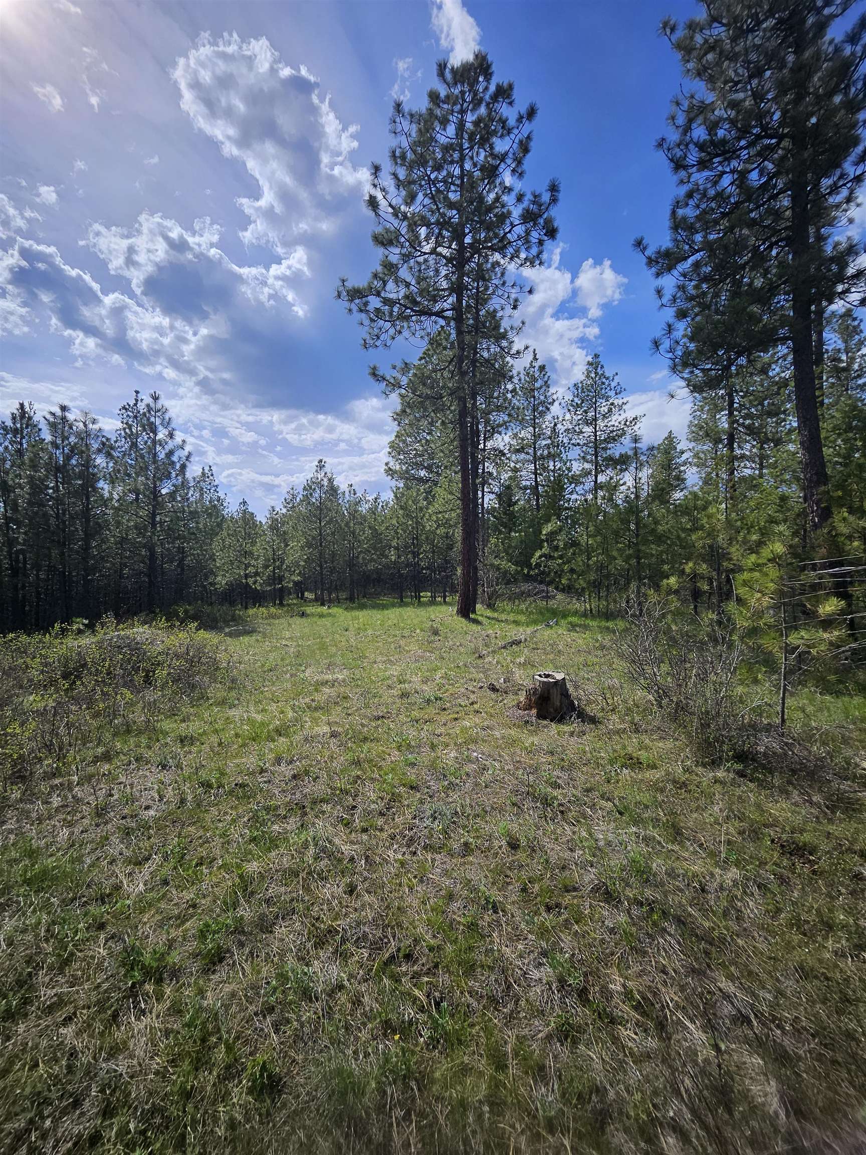 4464 Woods Way Rd - Photo 28