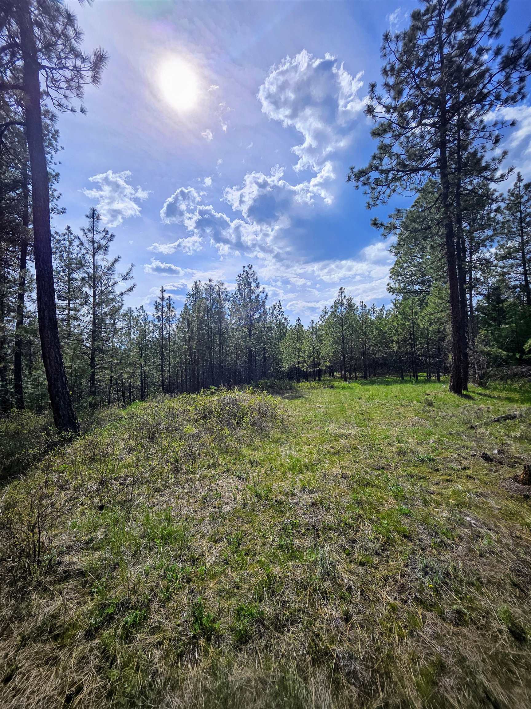 4464 Woods Way Rd - Photo 29