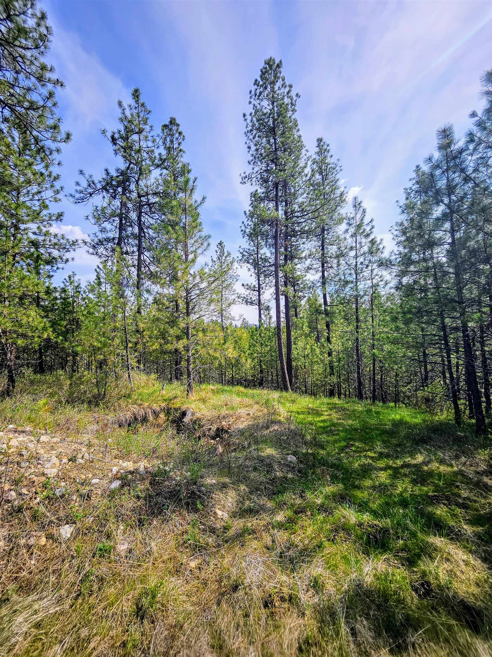 4464 Woods Way Rd - Photo 30