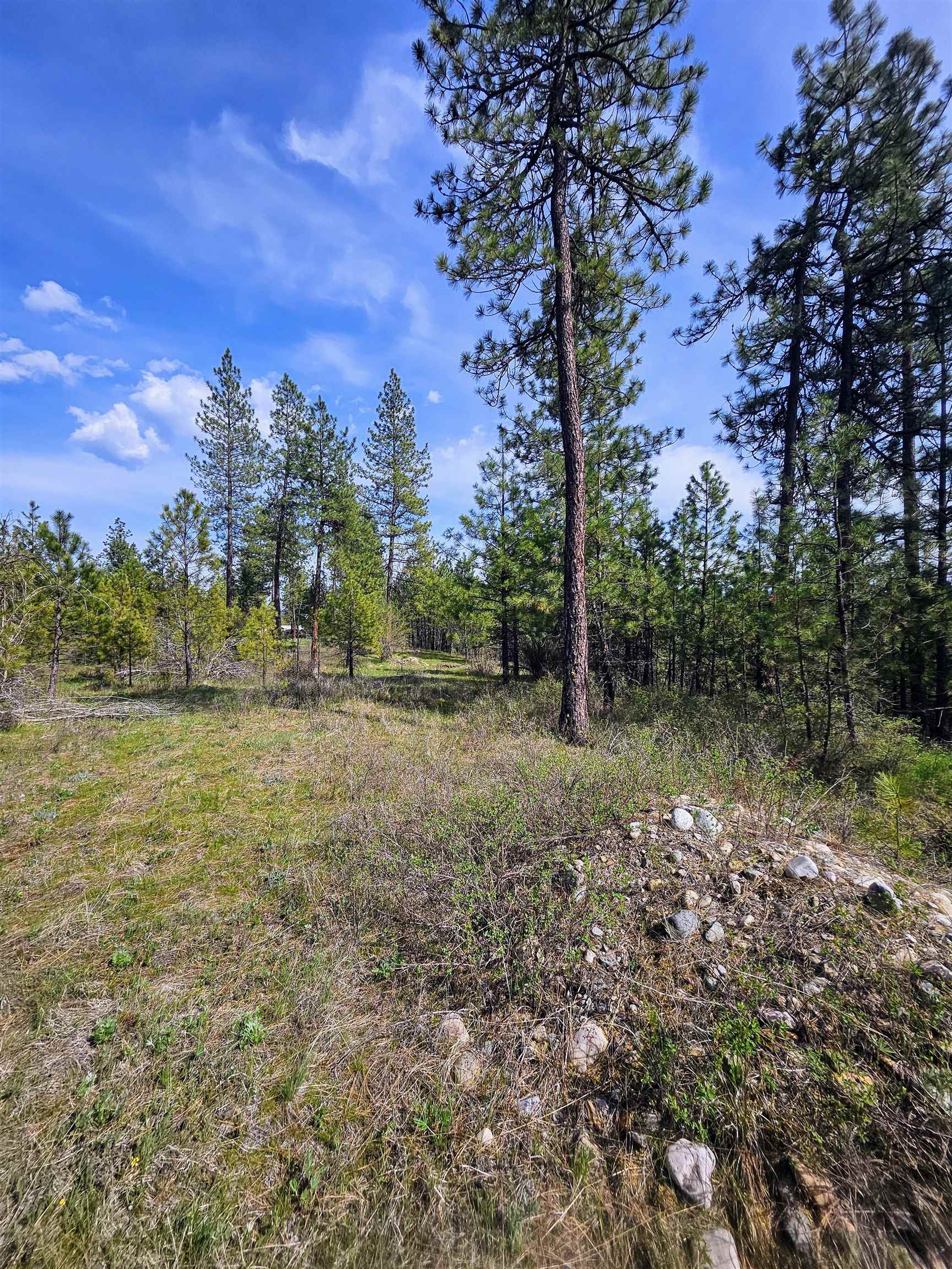 4464 Woods Way Rd - Photo 31