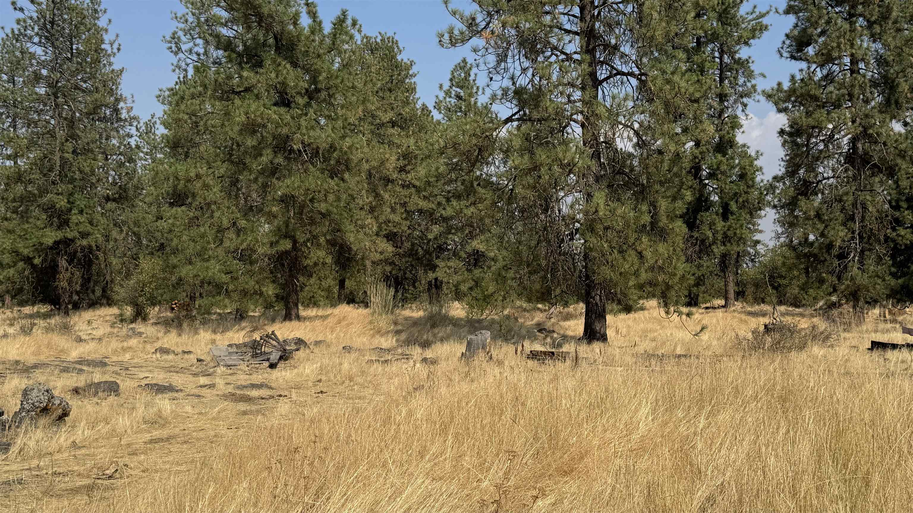 9916 W Newkirk Rd - Photo 16