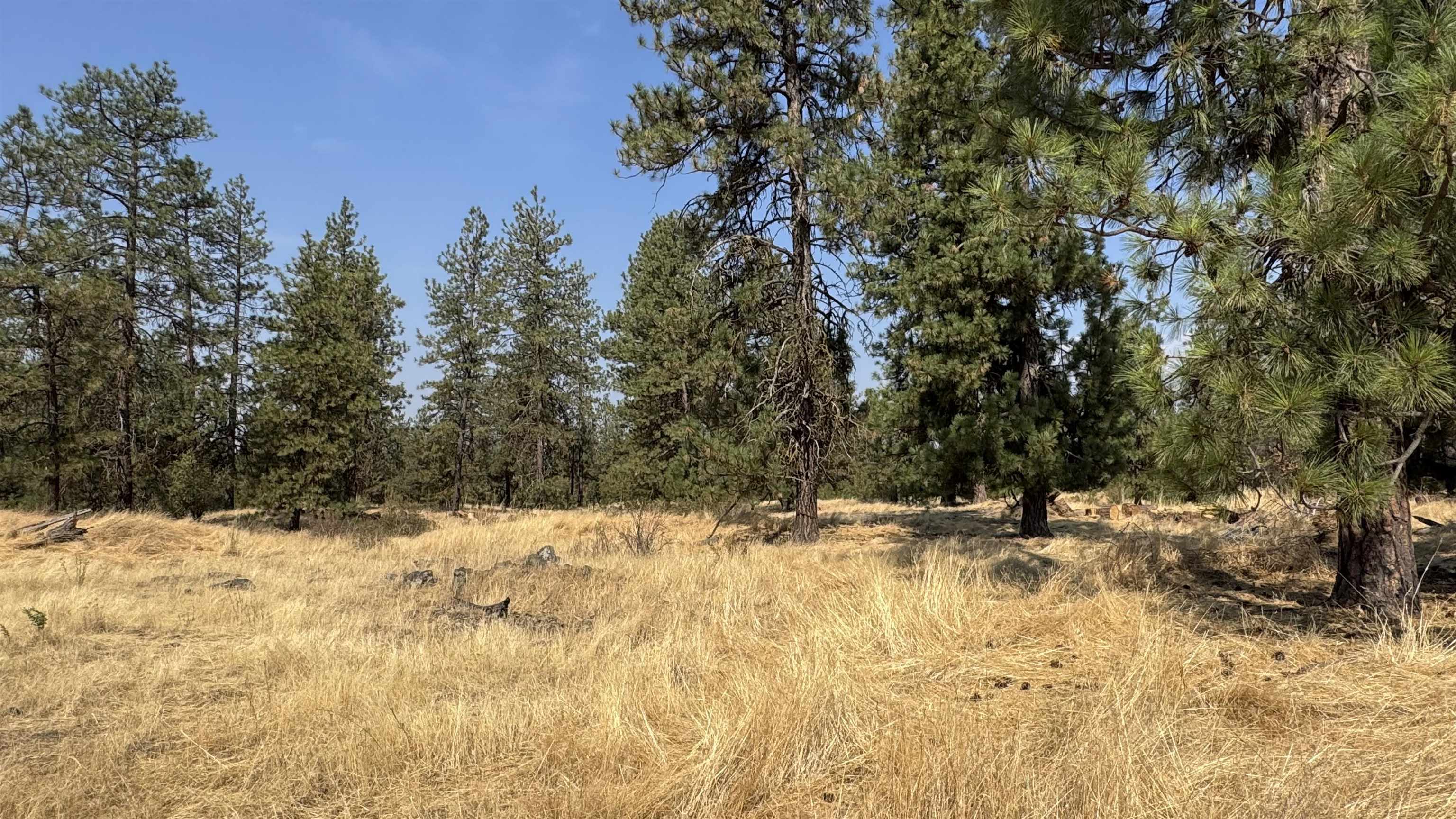 9916 W Newkirk Rd - Photo 1