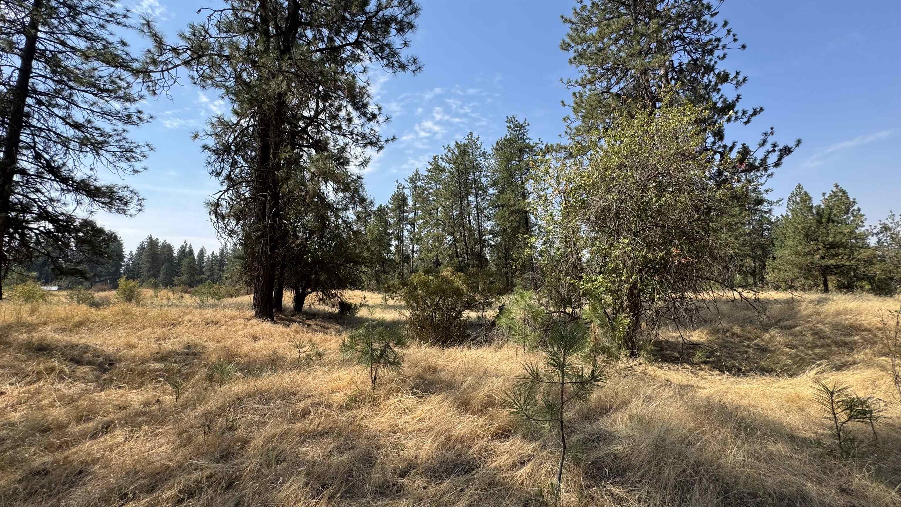 9916 W Newkirk Rd - Photo 3