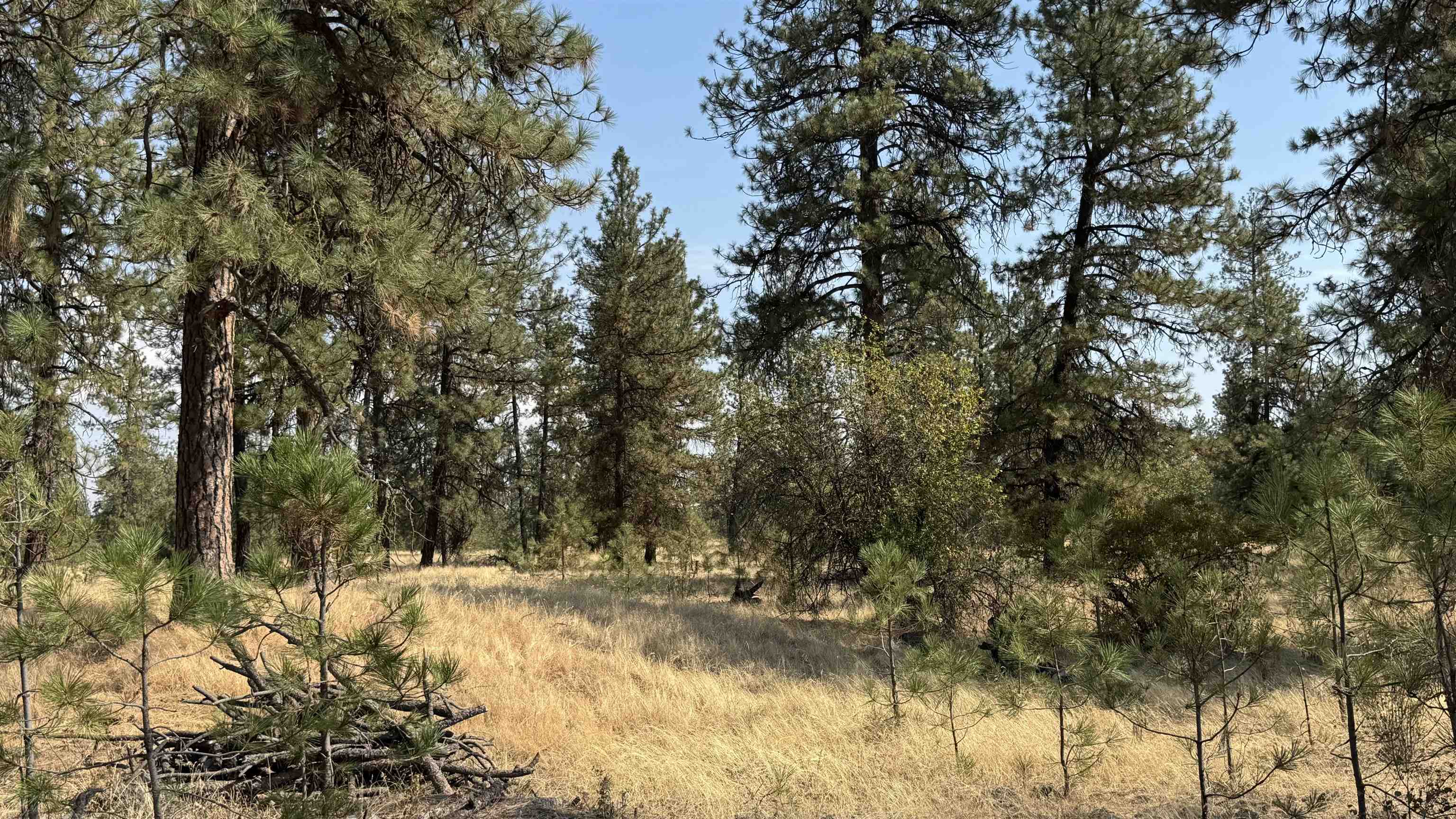 9916 W Newkirk Rd - Photo 2