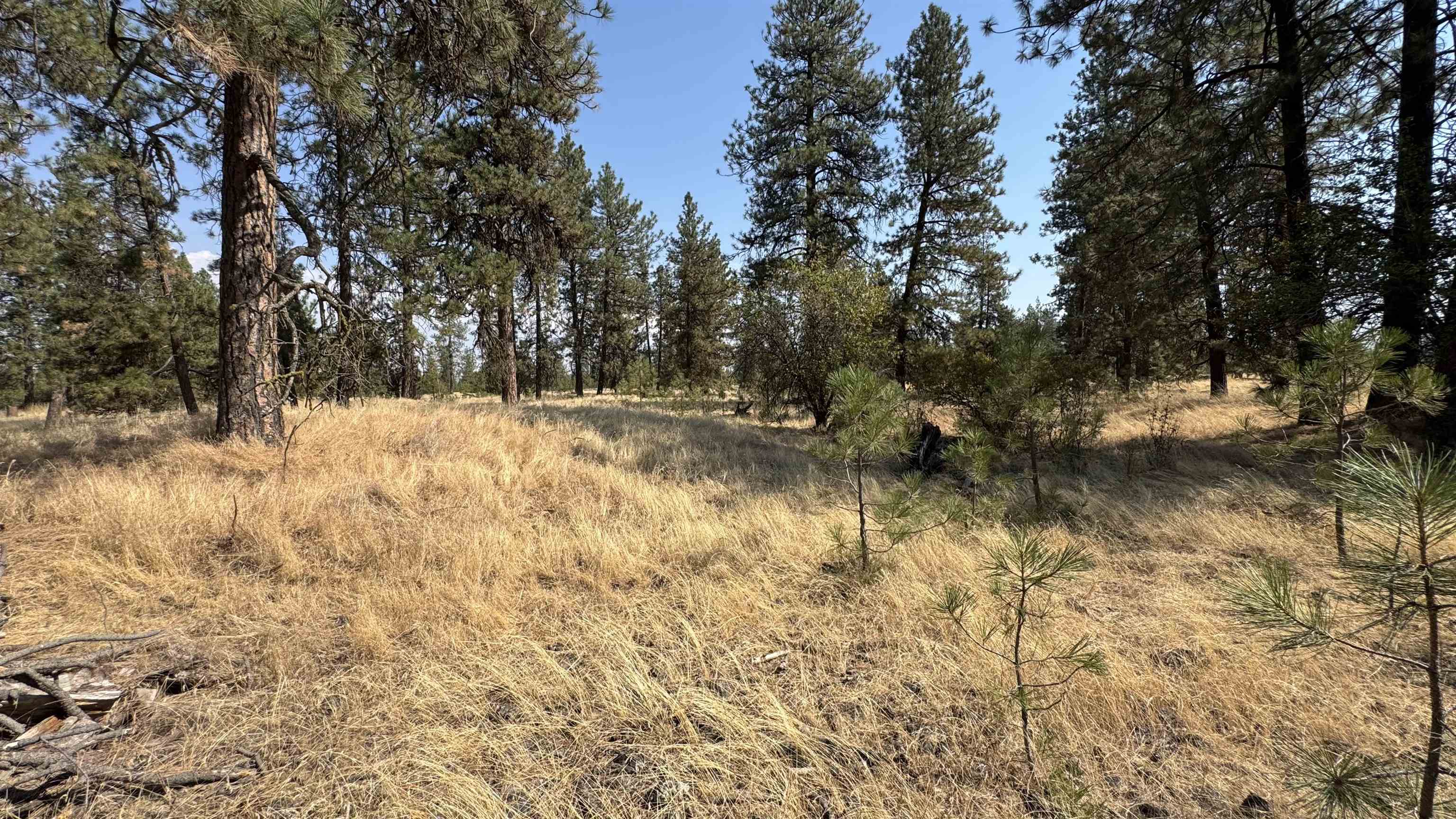 9916 W Newkirk Rd - Photo 4