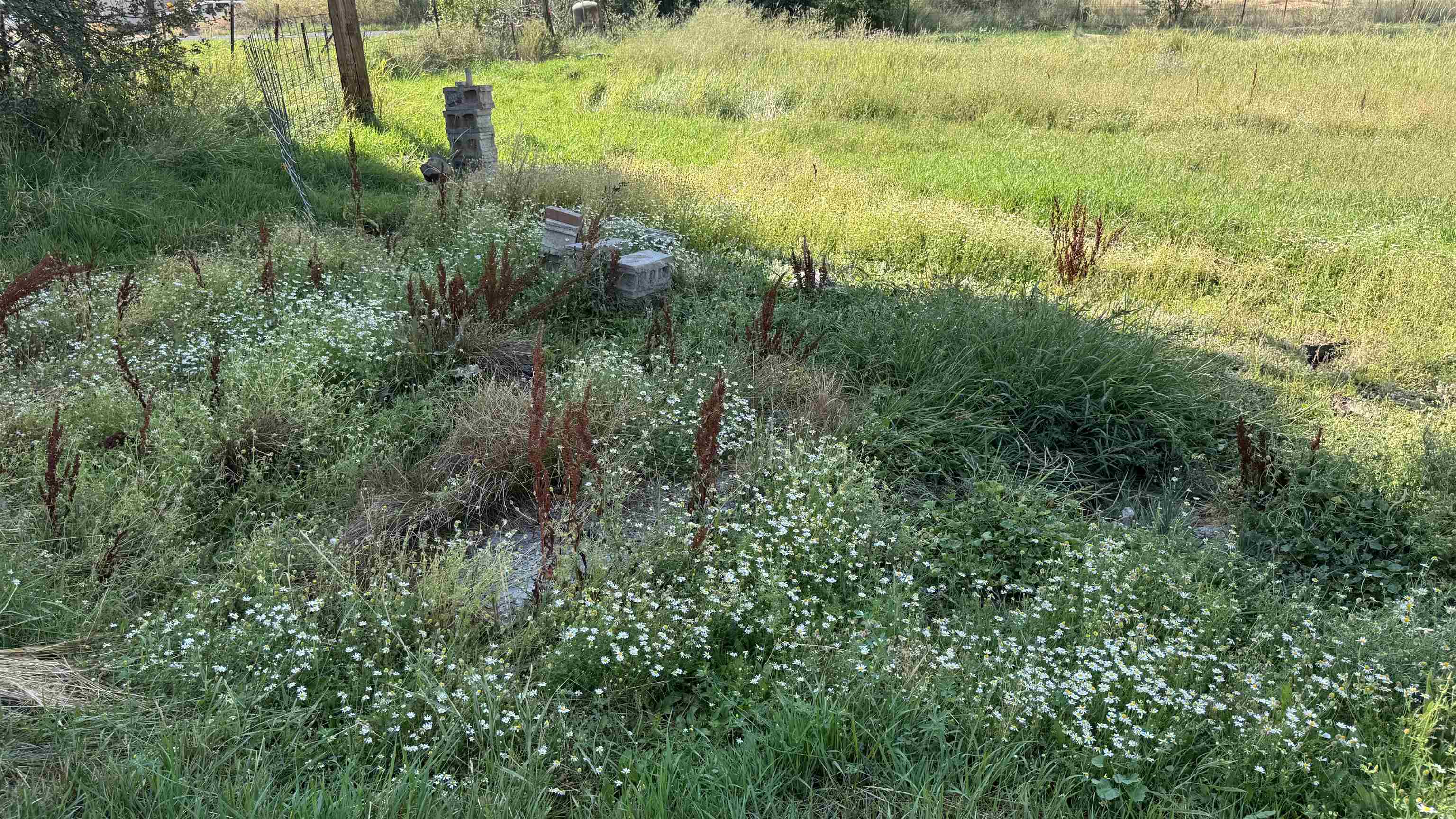 9916 W Newkirk Rd - Photo 5