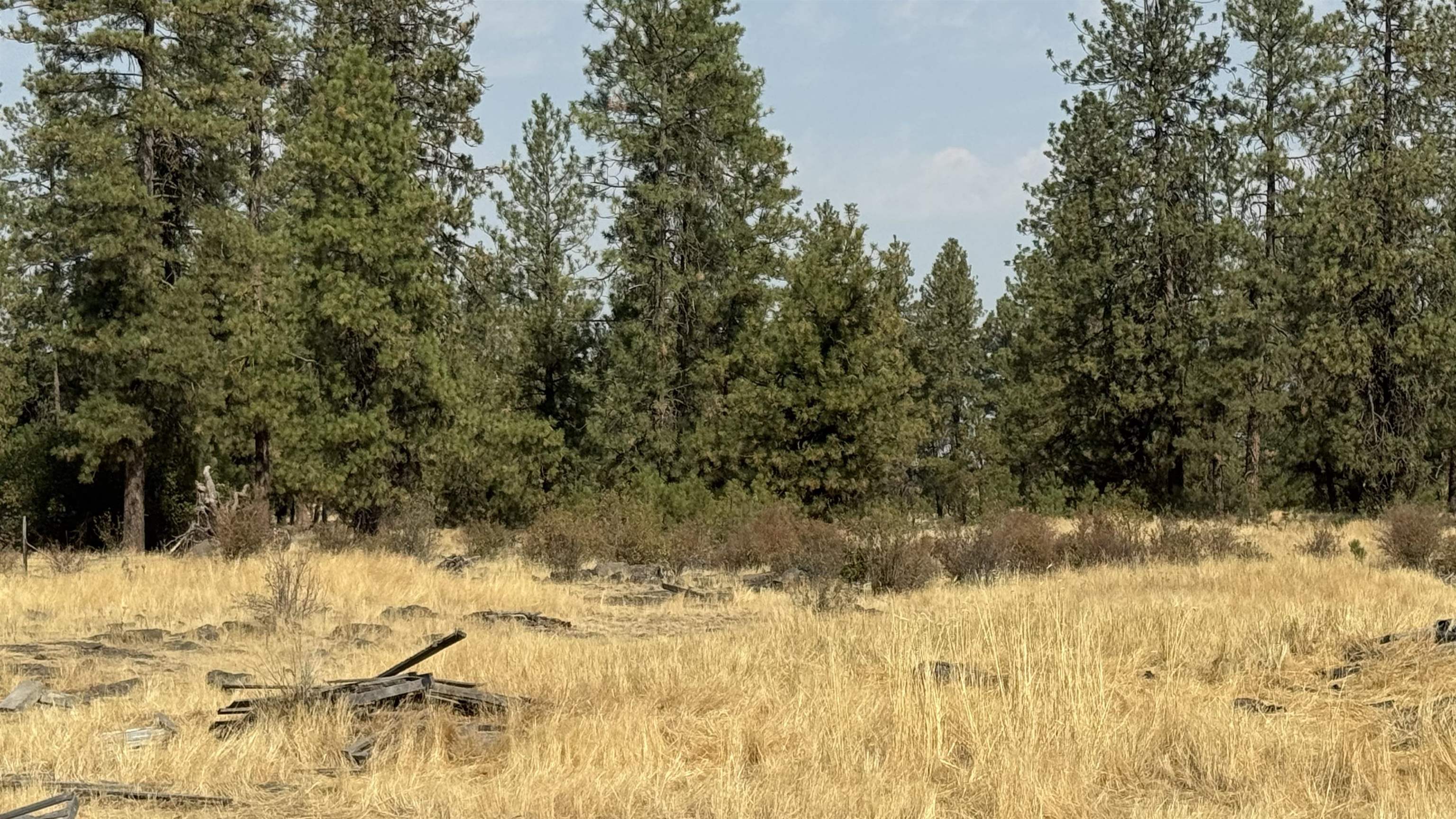 9916 W Newkirk Rd - Photo 14