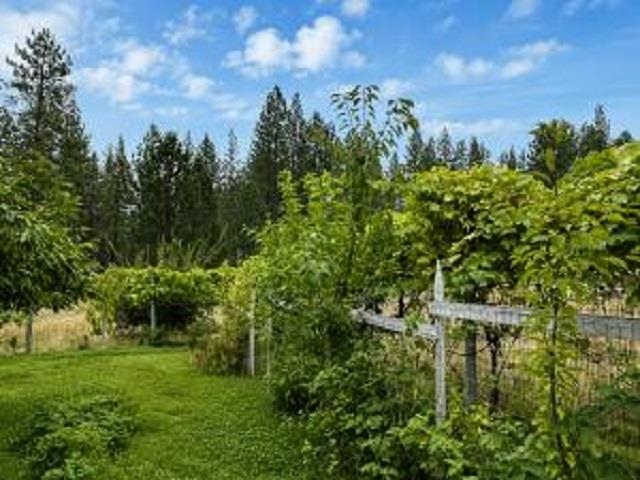 48 SUNRISE Ln - Photo 42