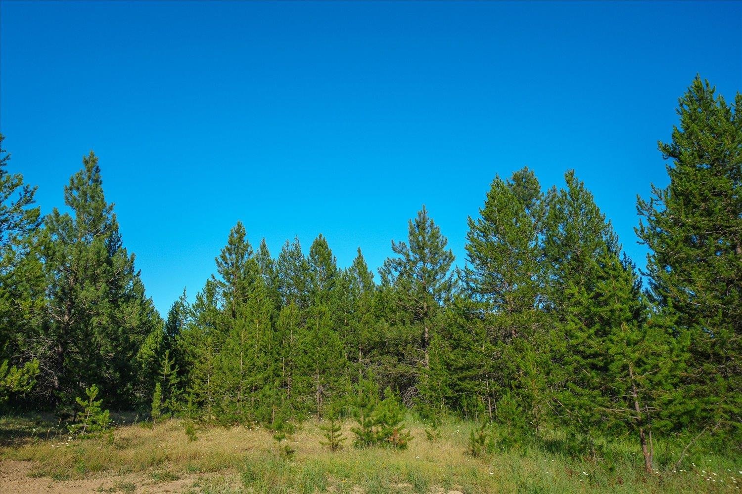 41094 N Gray Owl Ln - Photo 36