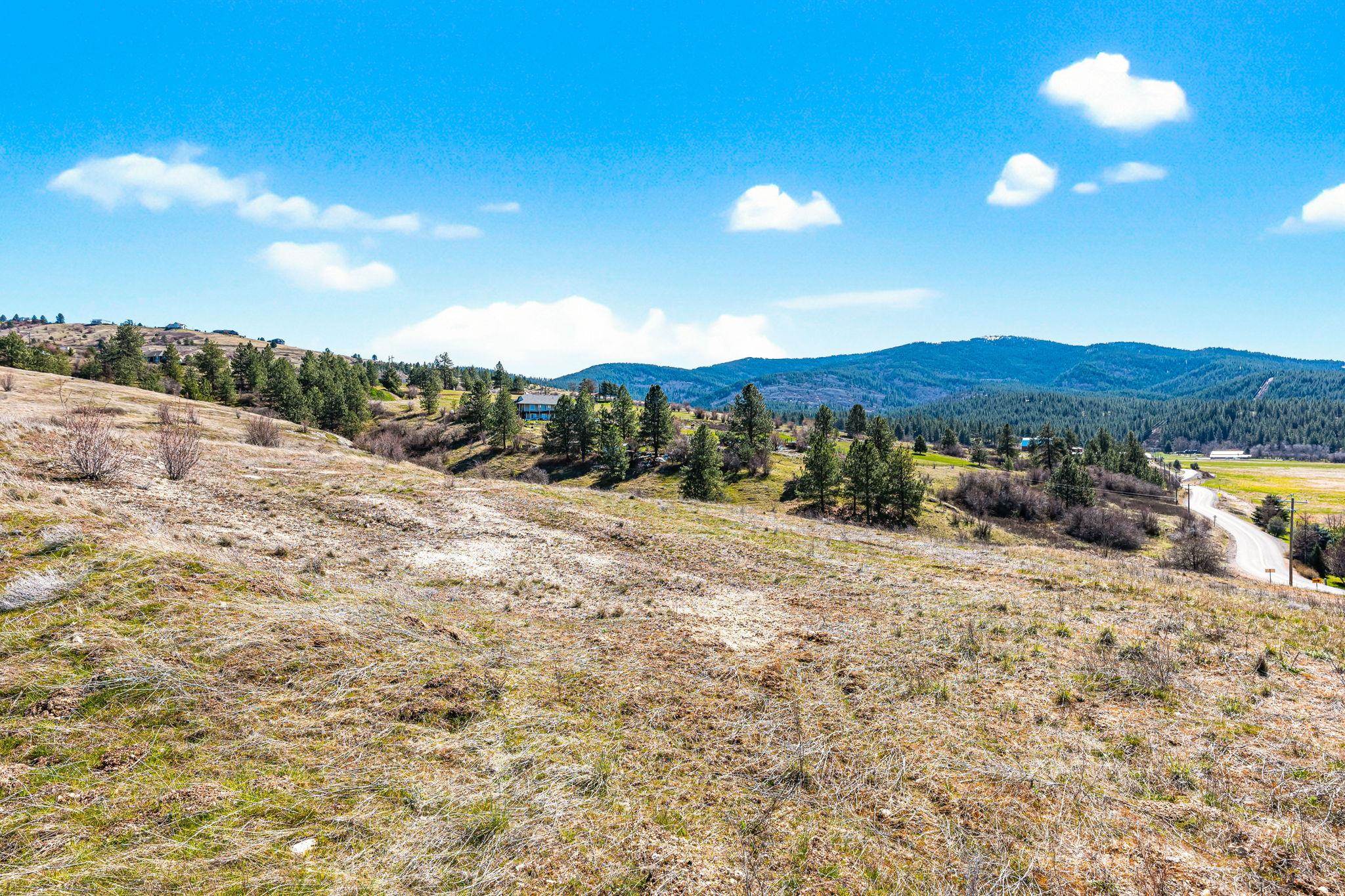 3811 S Henry Rd - Photo 7