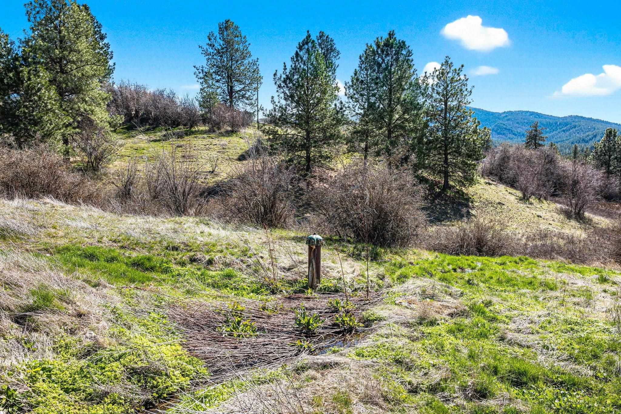3811 S Henry Rd - Photo 14