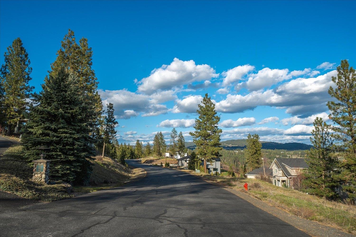 11615 S Elk Run Ln - Photo 8