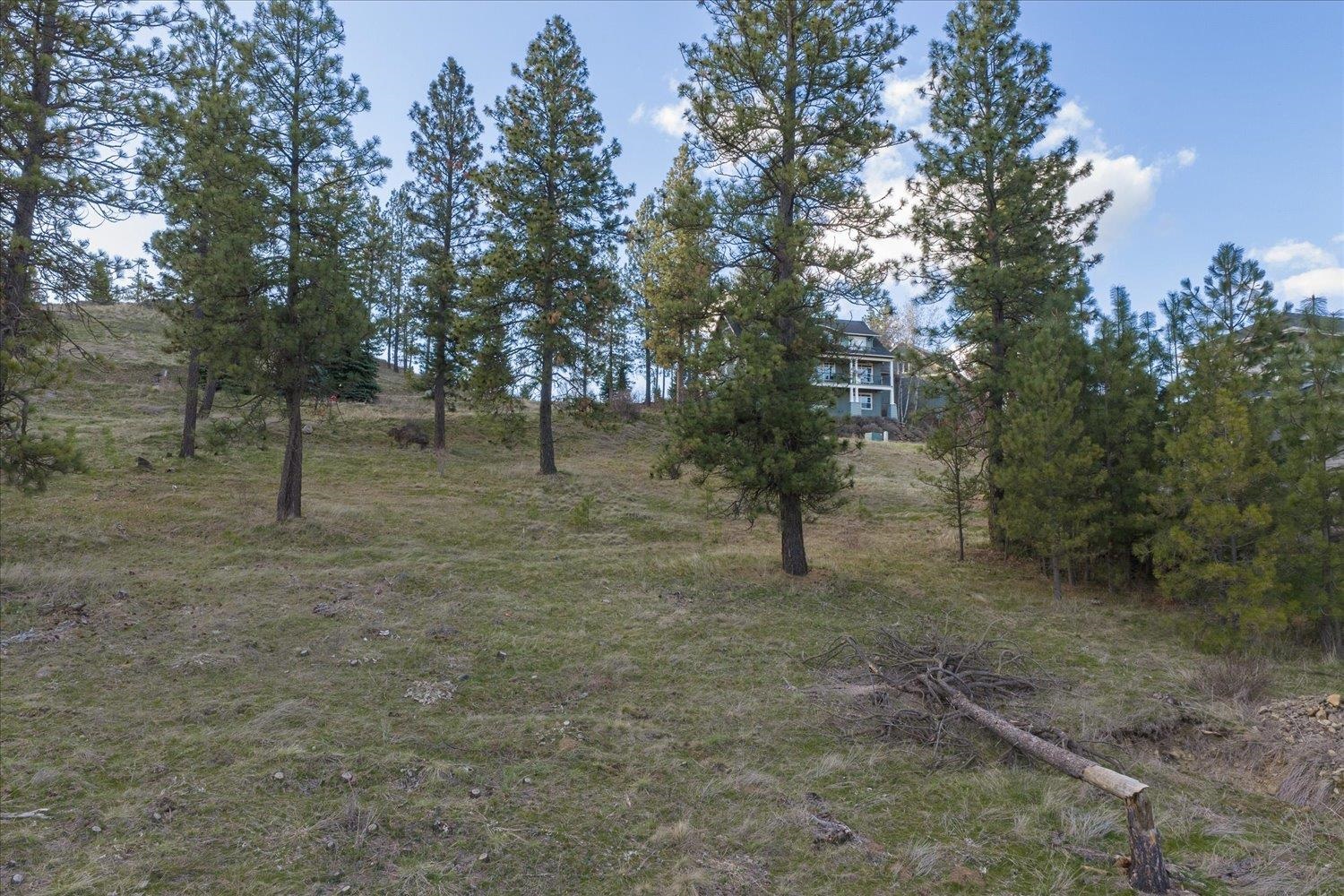 11615 S Elk Run Ln - Photo 9