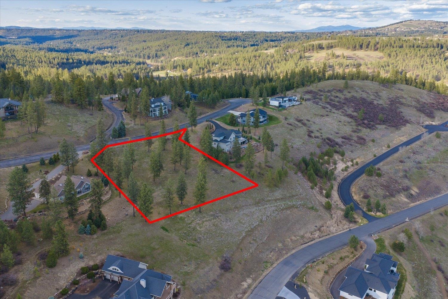 11615 S Elk Run Ln - Photo 2