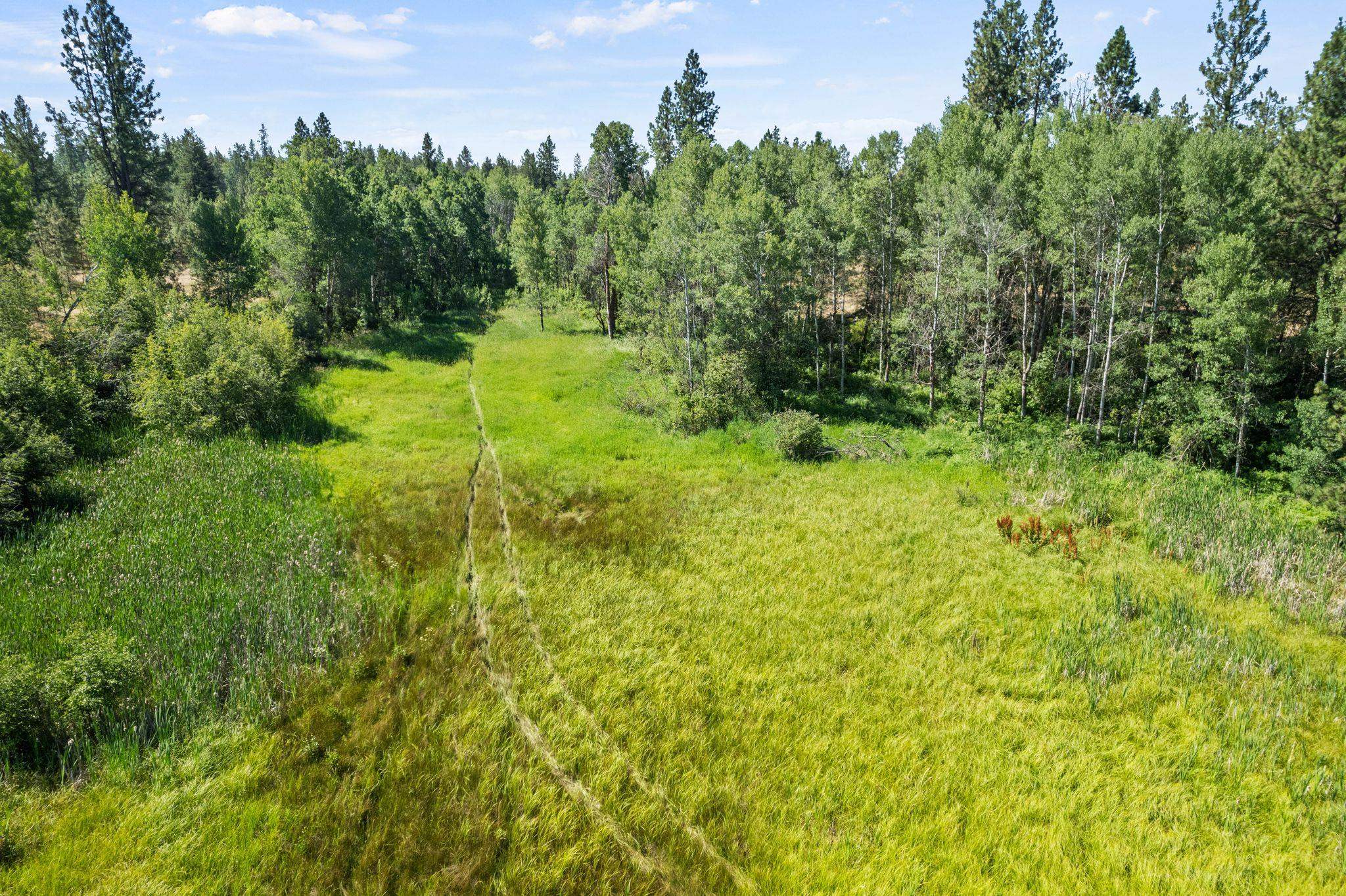4611 W Anderson Rd - Photo 46