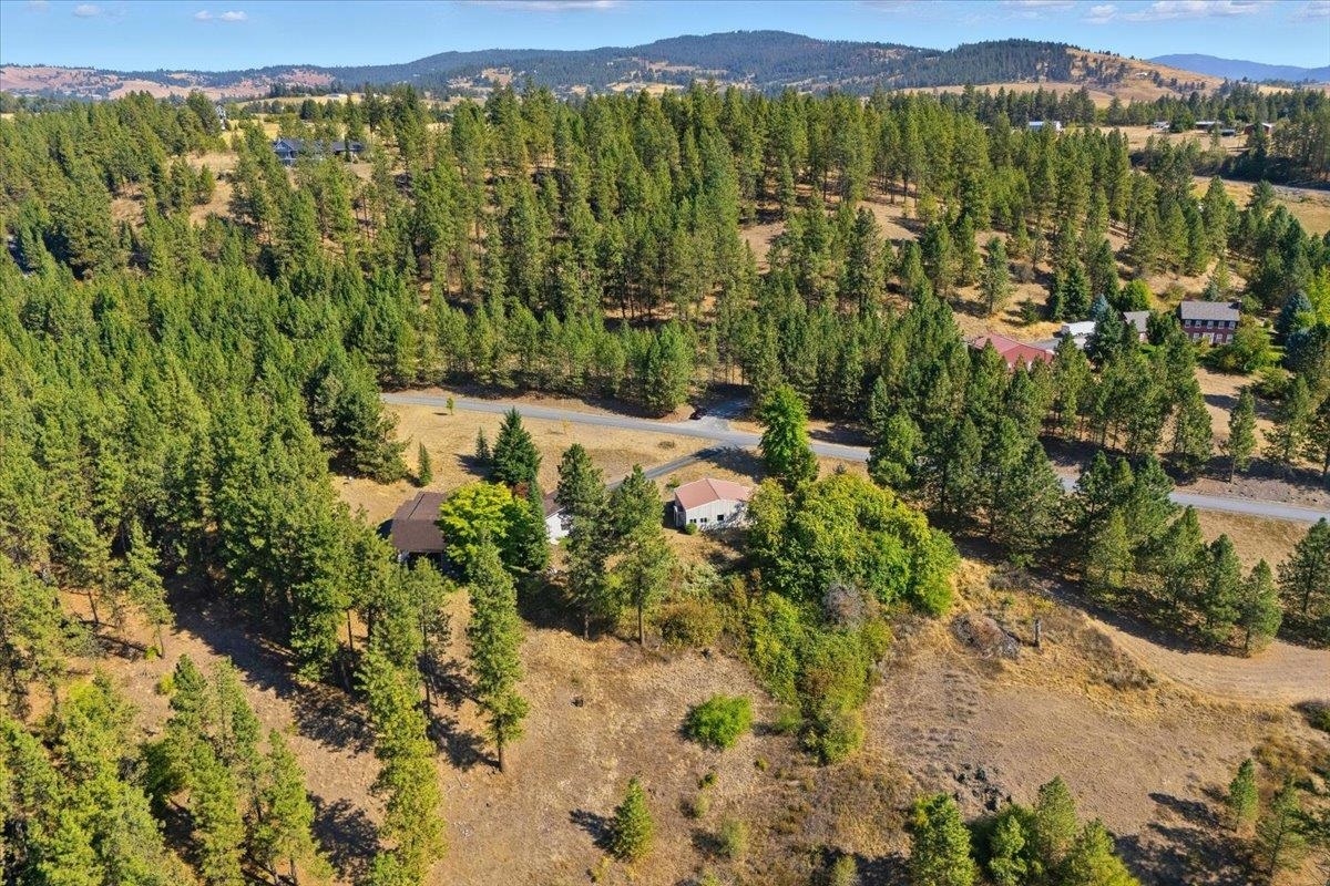10924 S Latah Ln - Photo 48