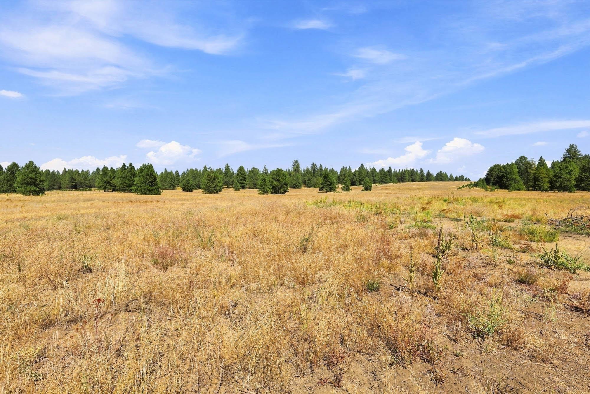 1262 W Findley Ln - Photo 45