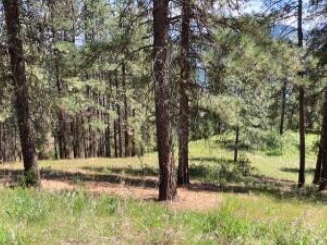 Lot 2 Kifer Spur Rd - Photo 4