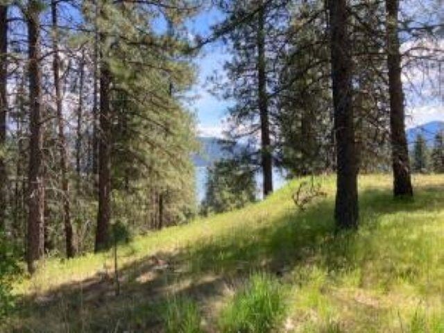 Lot 2 Kifer Spur Rd - Photo 5