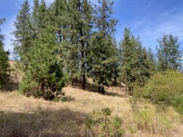 Lot 2 Kifer Spur Rd - Photo 11