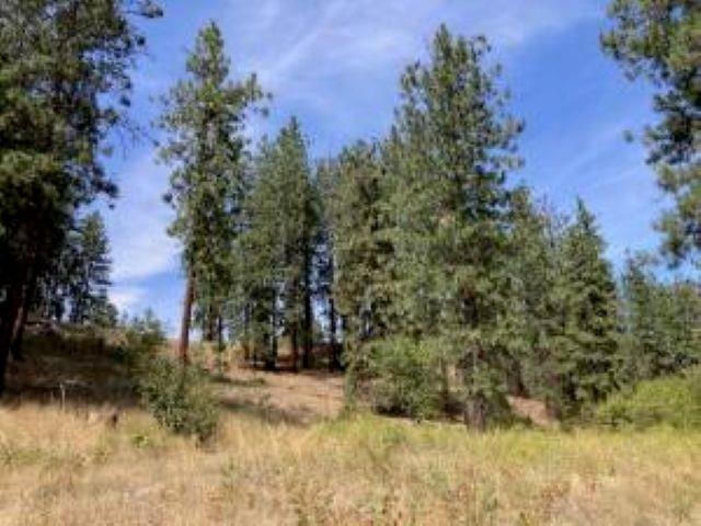 Lot 2 Kifer Spur Rd - Photo 12