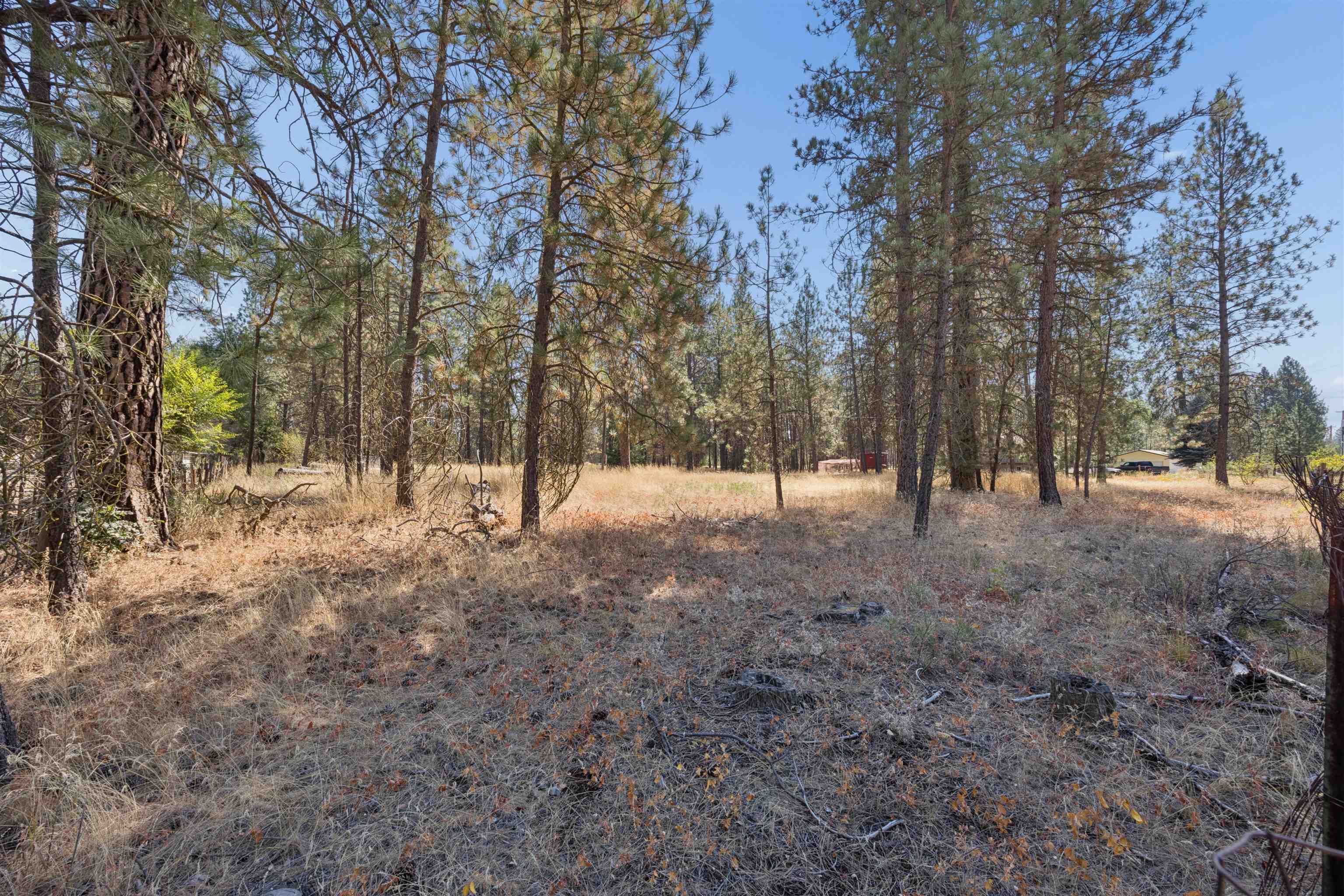 21324 N Myrtle Rd - Photo 3