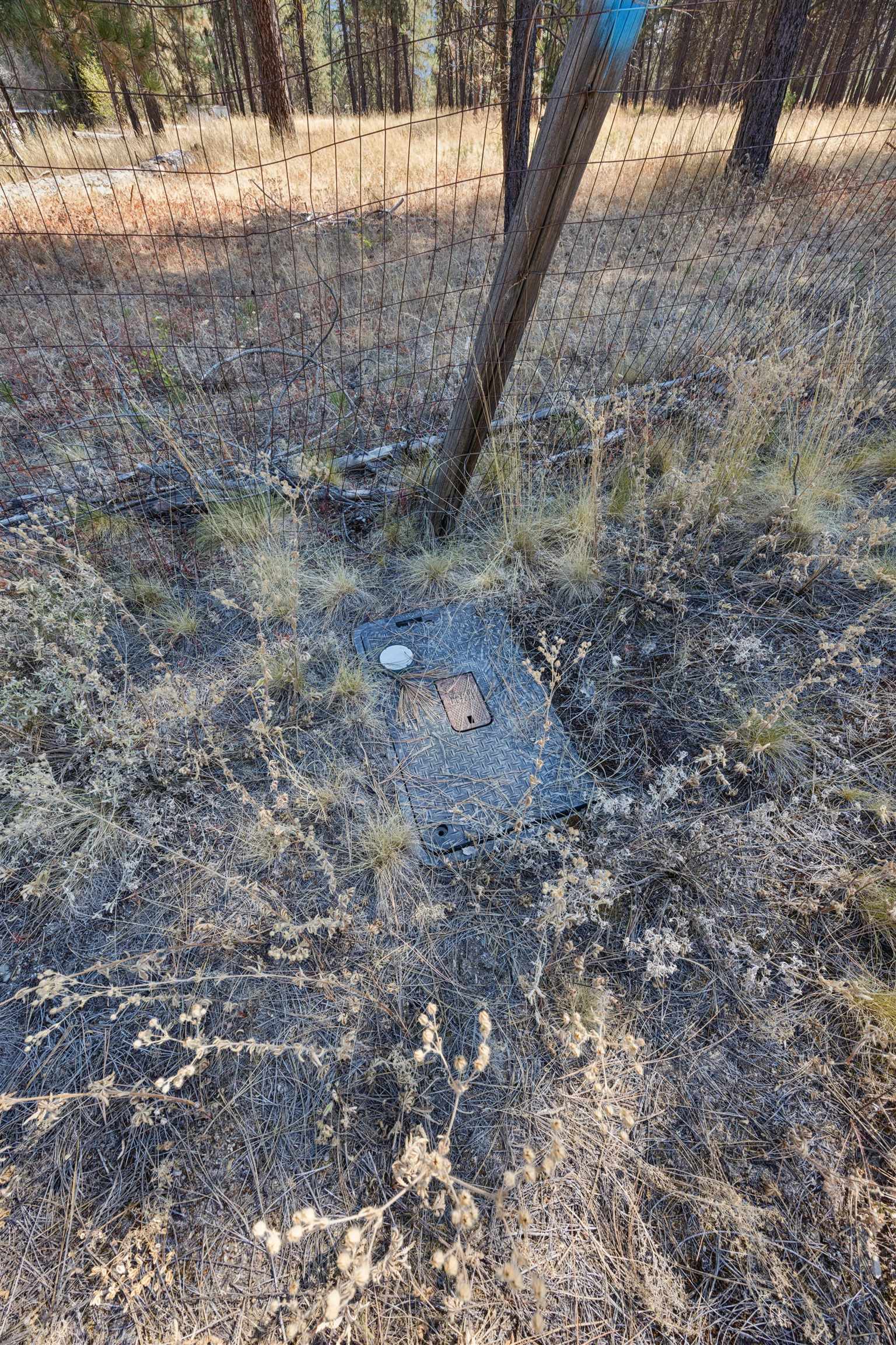 21324 N Myrtle Rd - Photo 4
