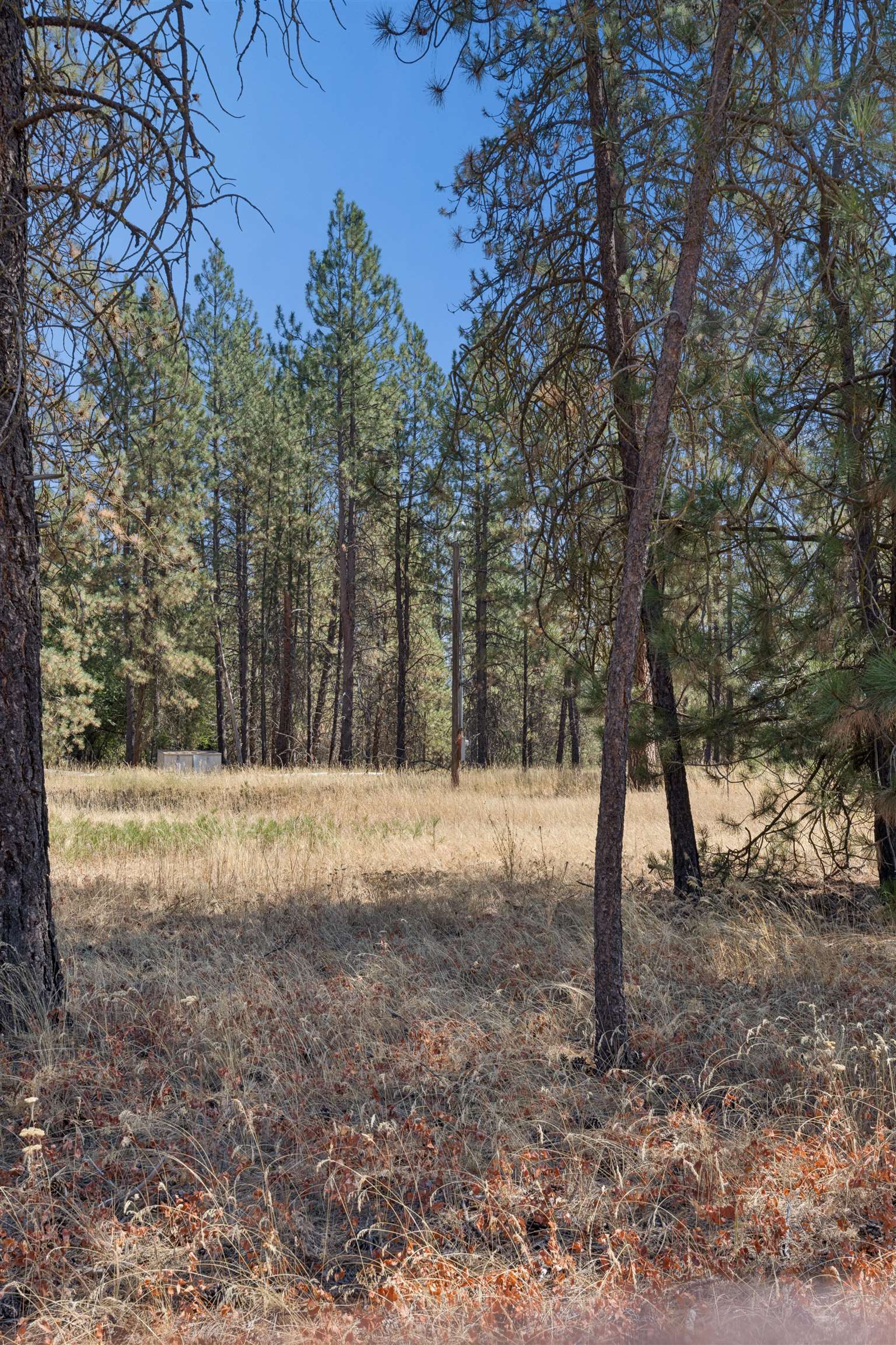 21324 N Myrtle Rd - Photo 6