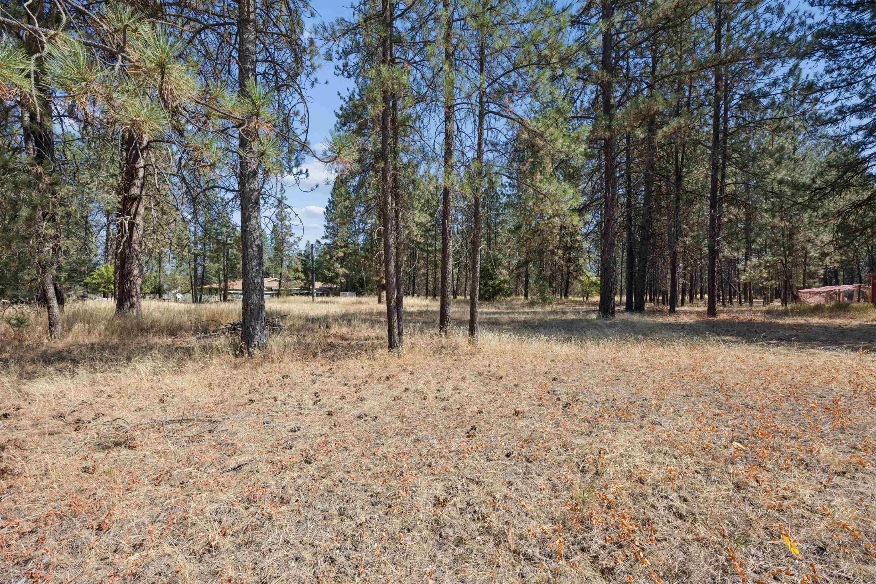 21324 N Myrtle Rd - Photo 7