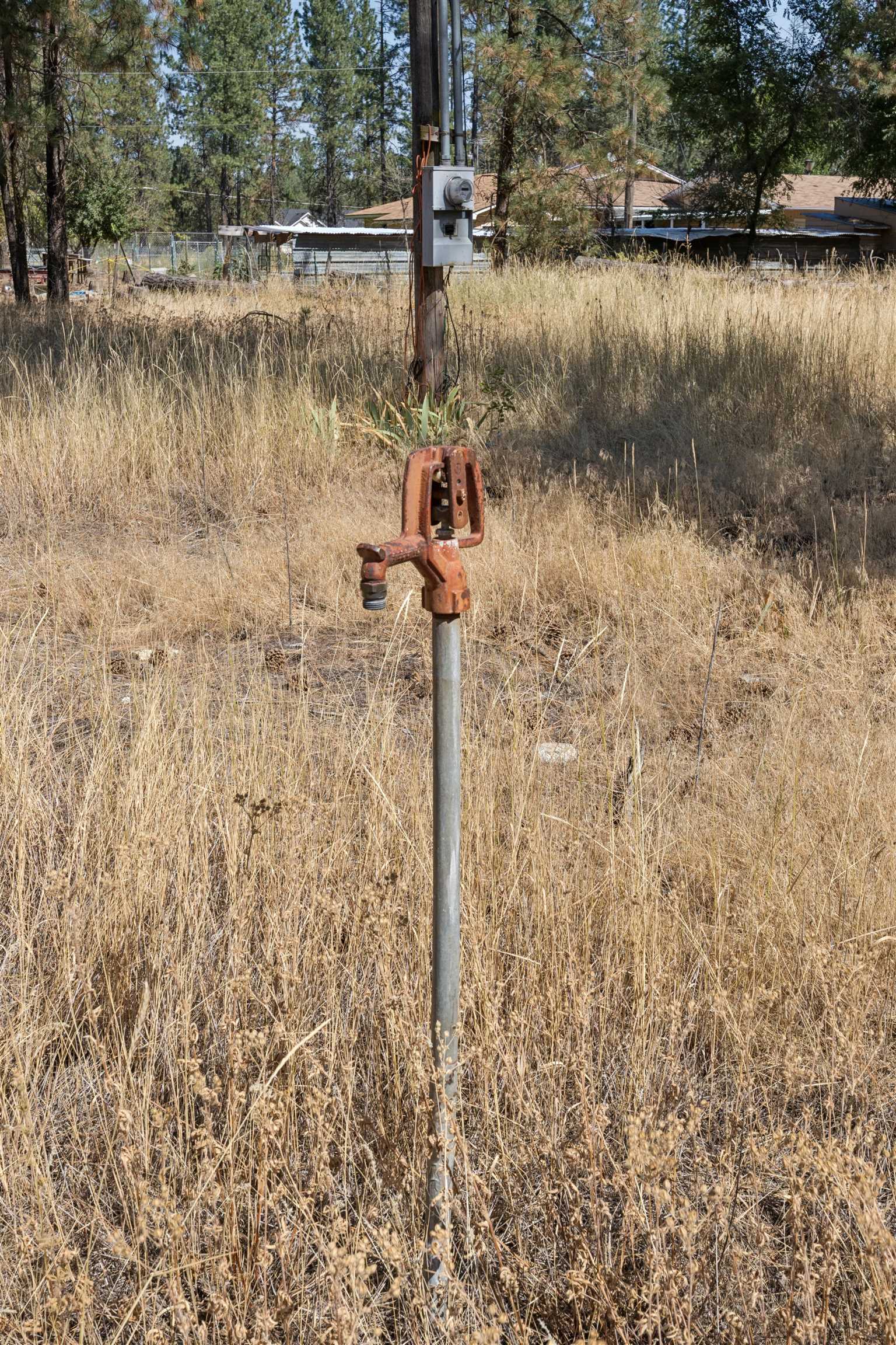 21324 N Myrtle Rd - Photo 8