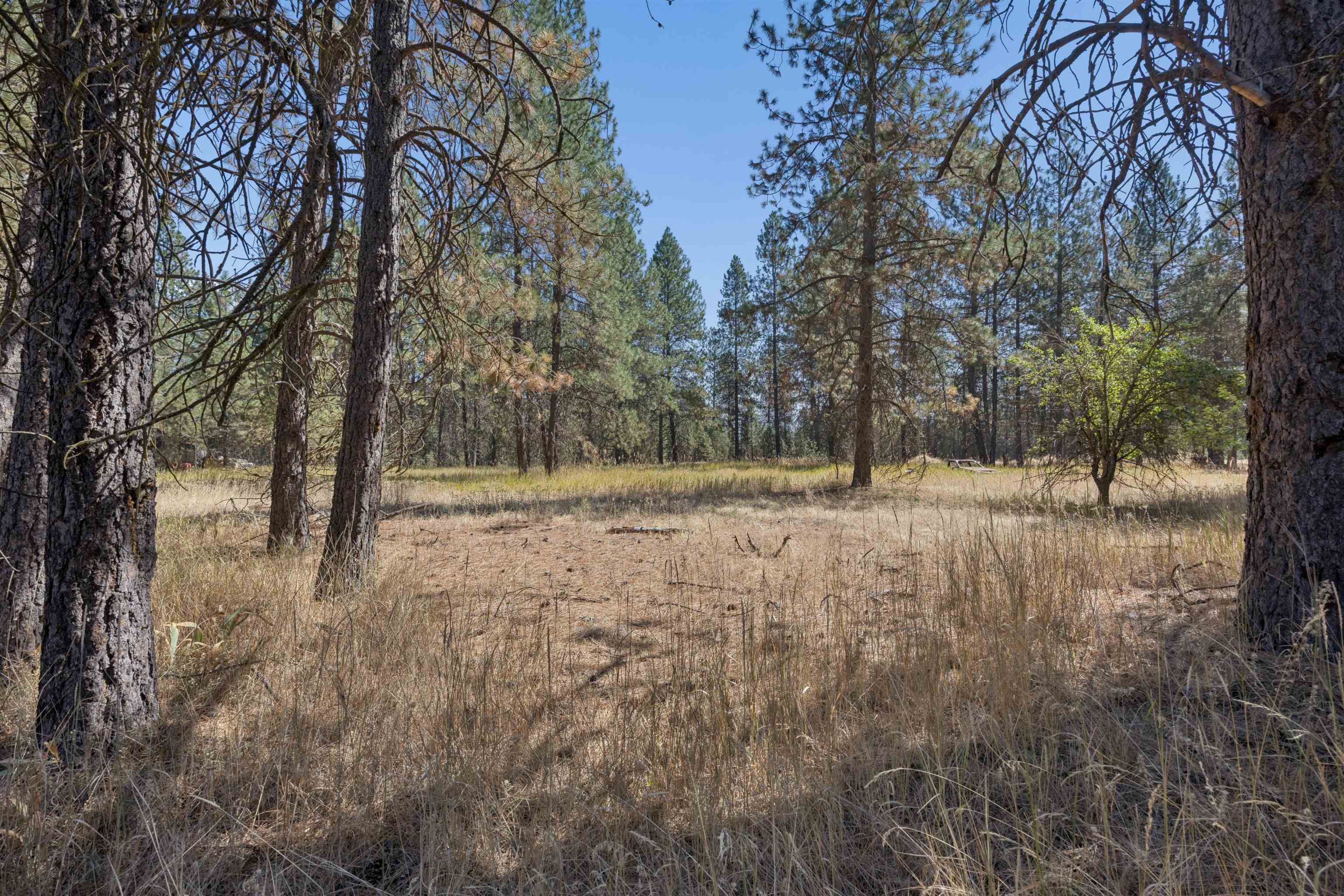 21324 N Myrtle Rd - Photo 10