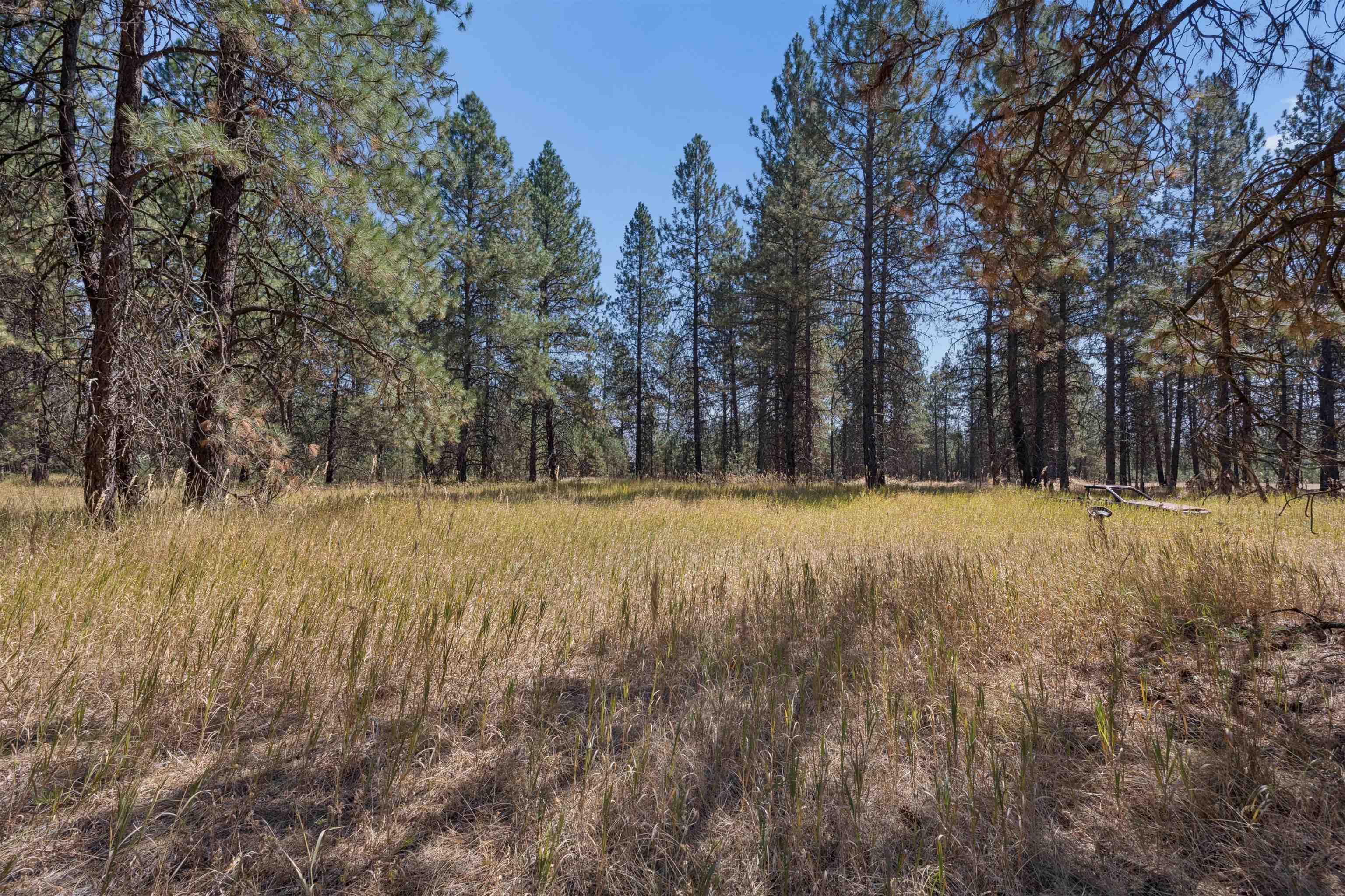 21324 N Myrtle Rd - Photo 11