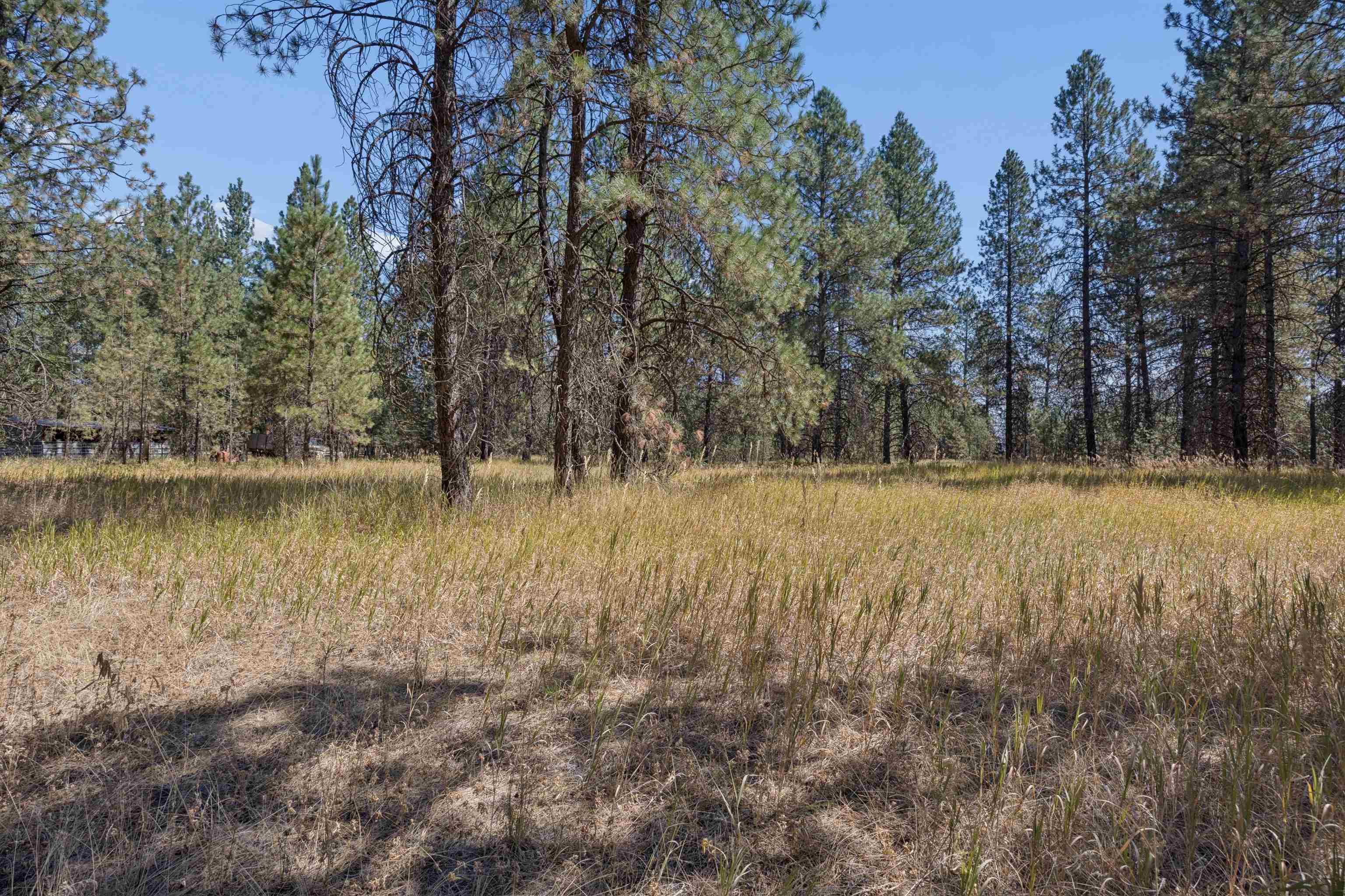 21324 N Myrtle Rd - Photo 12
