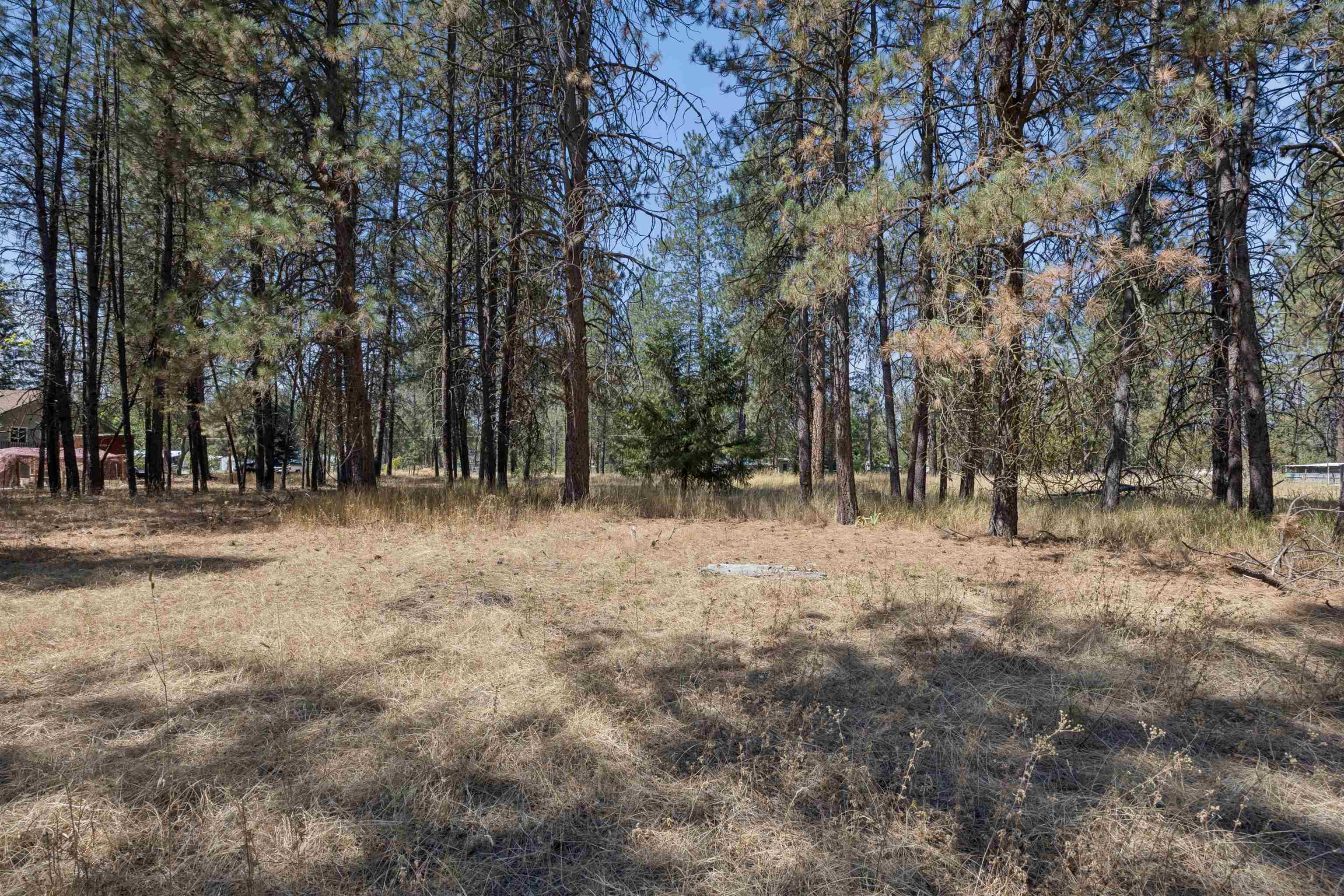 21324 N Myrtle Rd - Photo 13