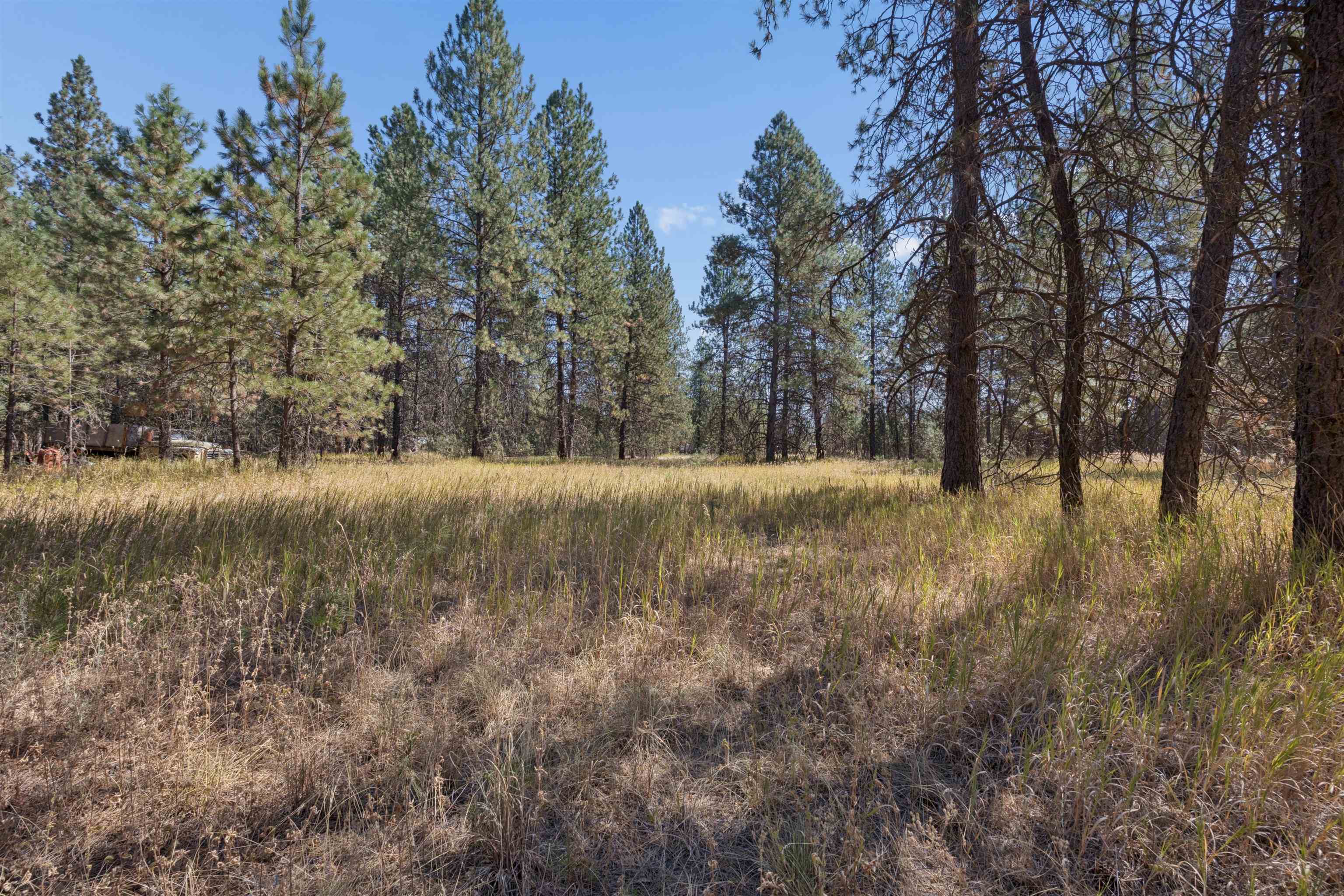 21324 N Myrtle Rd - Photo 14