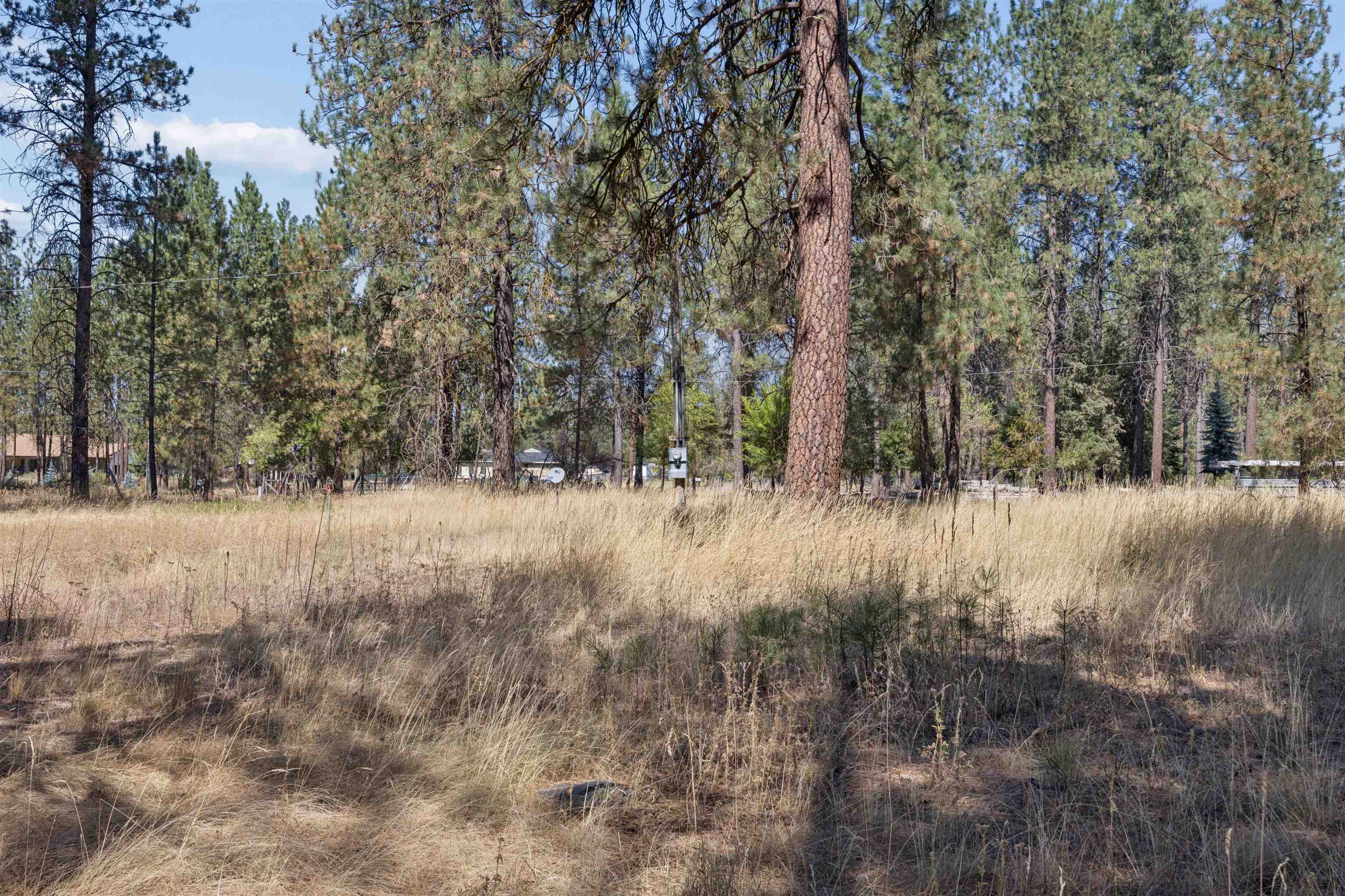 21324 N Myrtle Rd - Photo 17