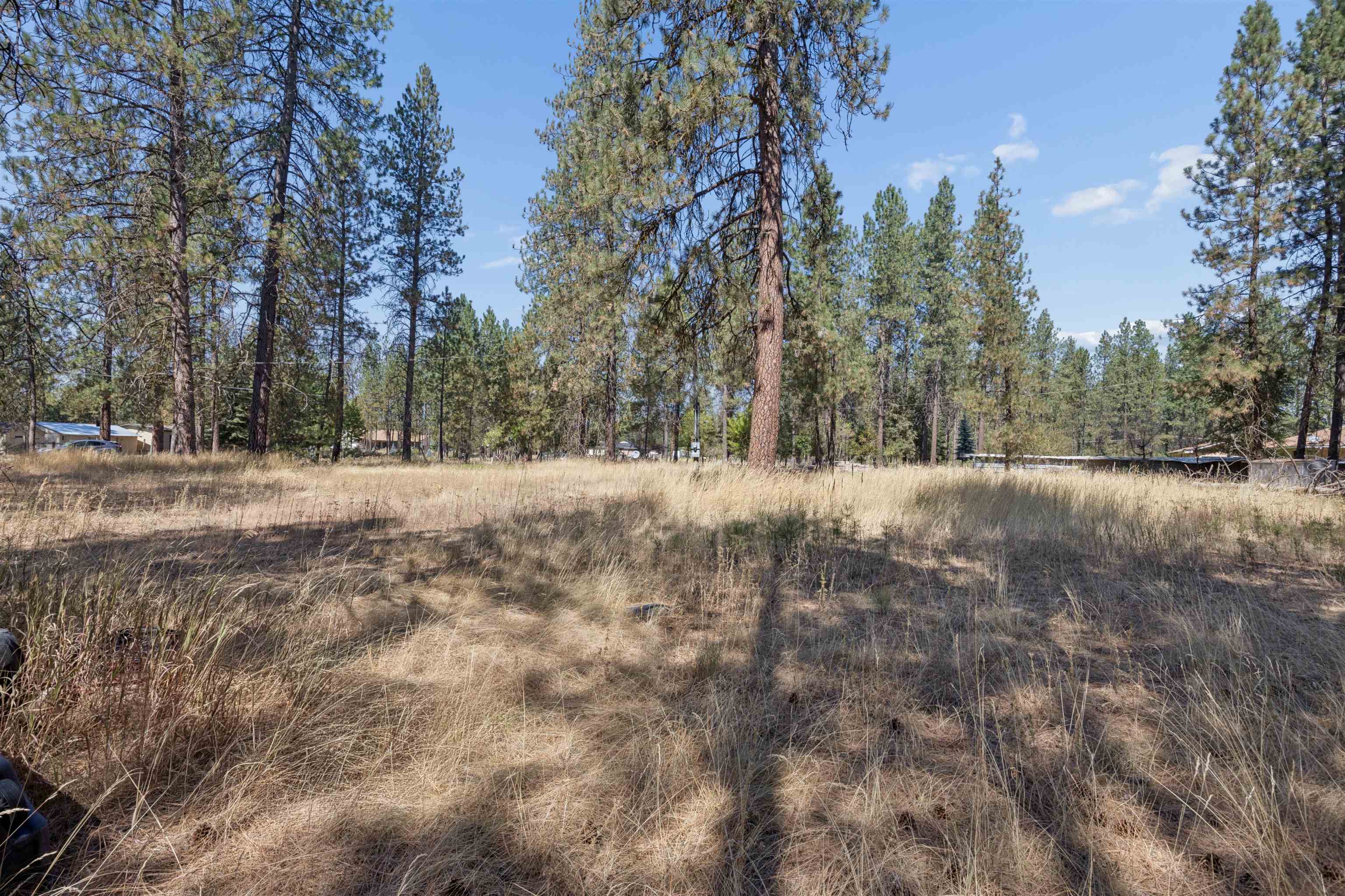 21324 N Myrtle Rd - Photo 18