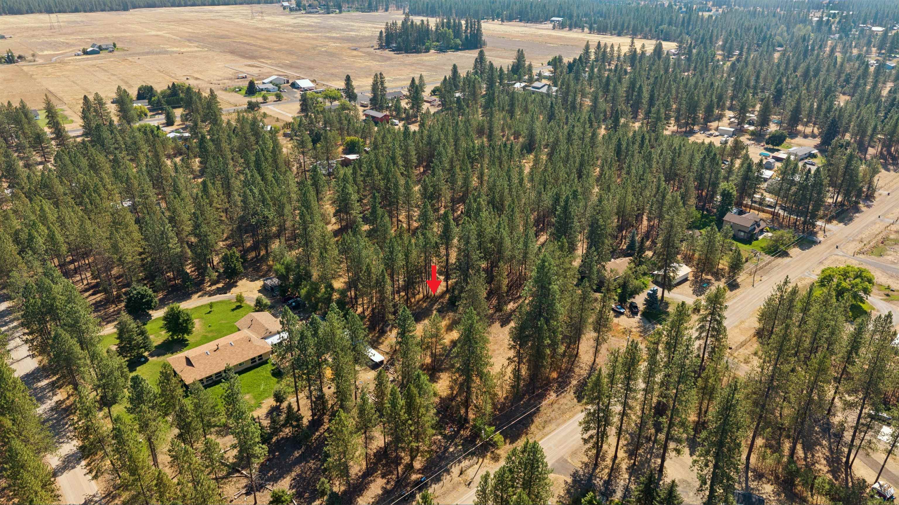 21324 N Myrtle Rd - Photo 39