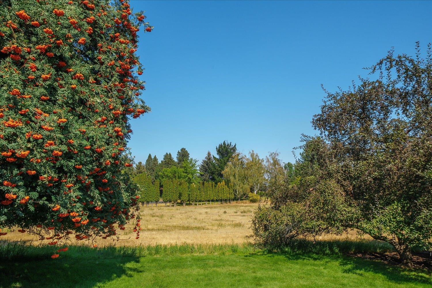 4503 E Redroan Dr - Photo 39