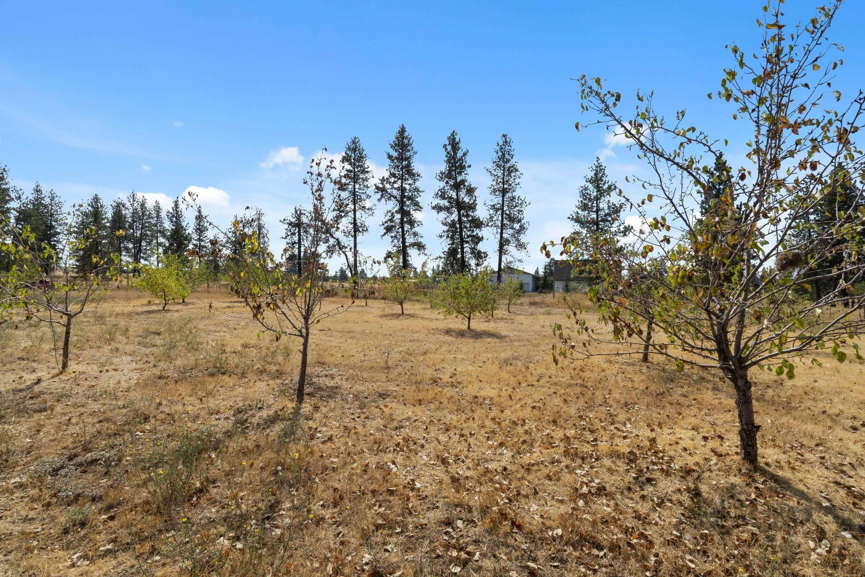 16106 S Dover Rd - Photo 42