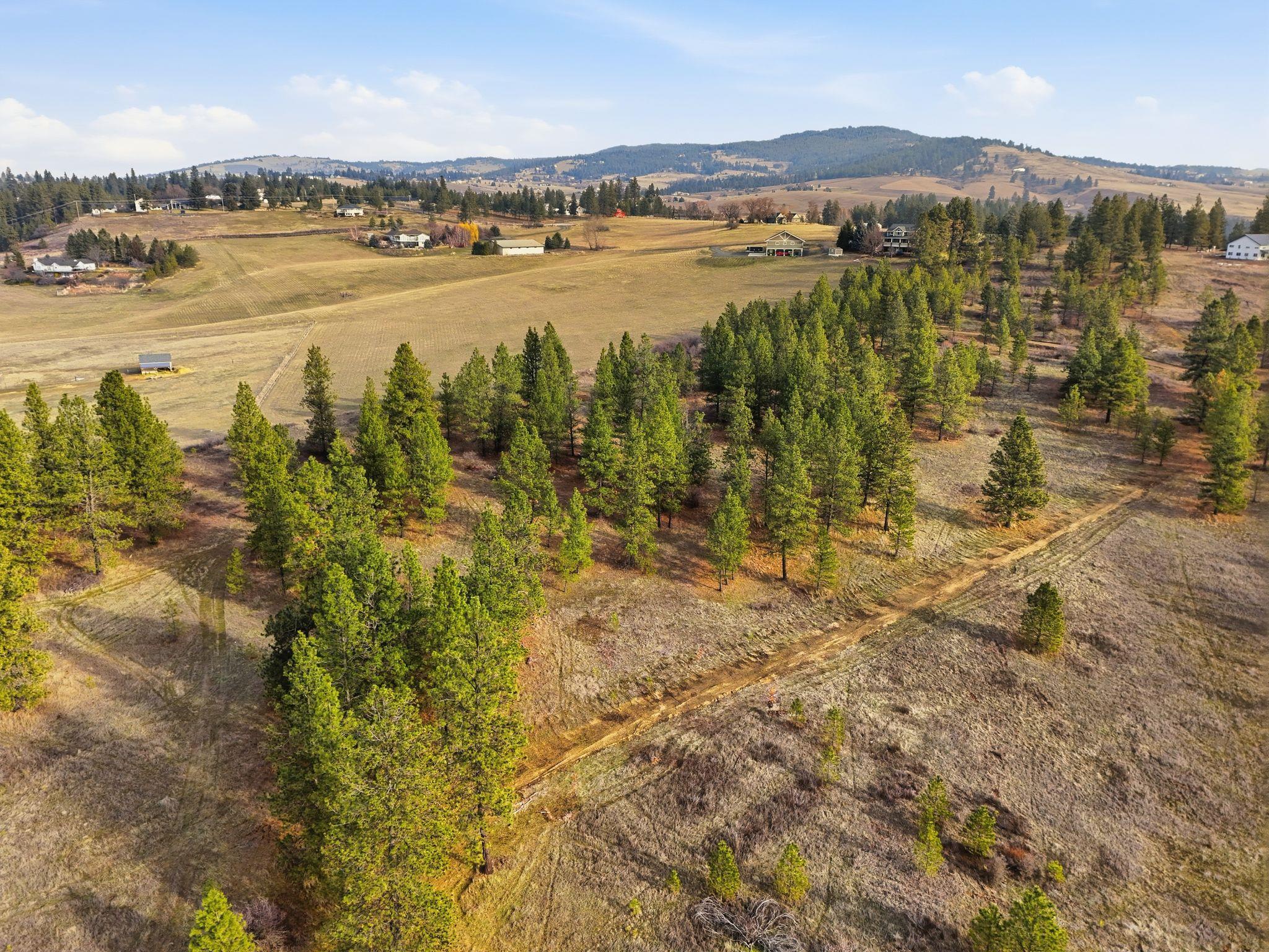 3086 E Balsam Hill Ln - Photo 4