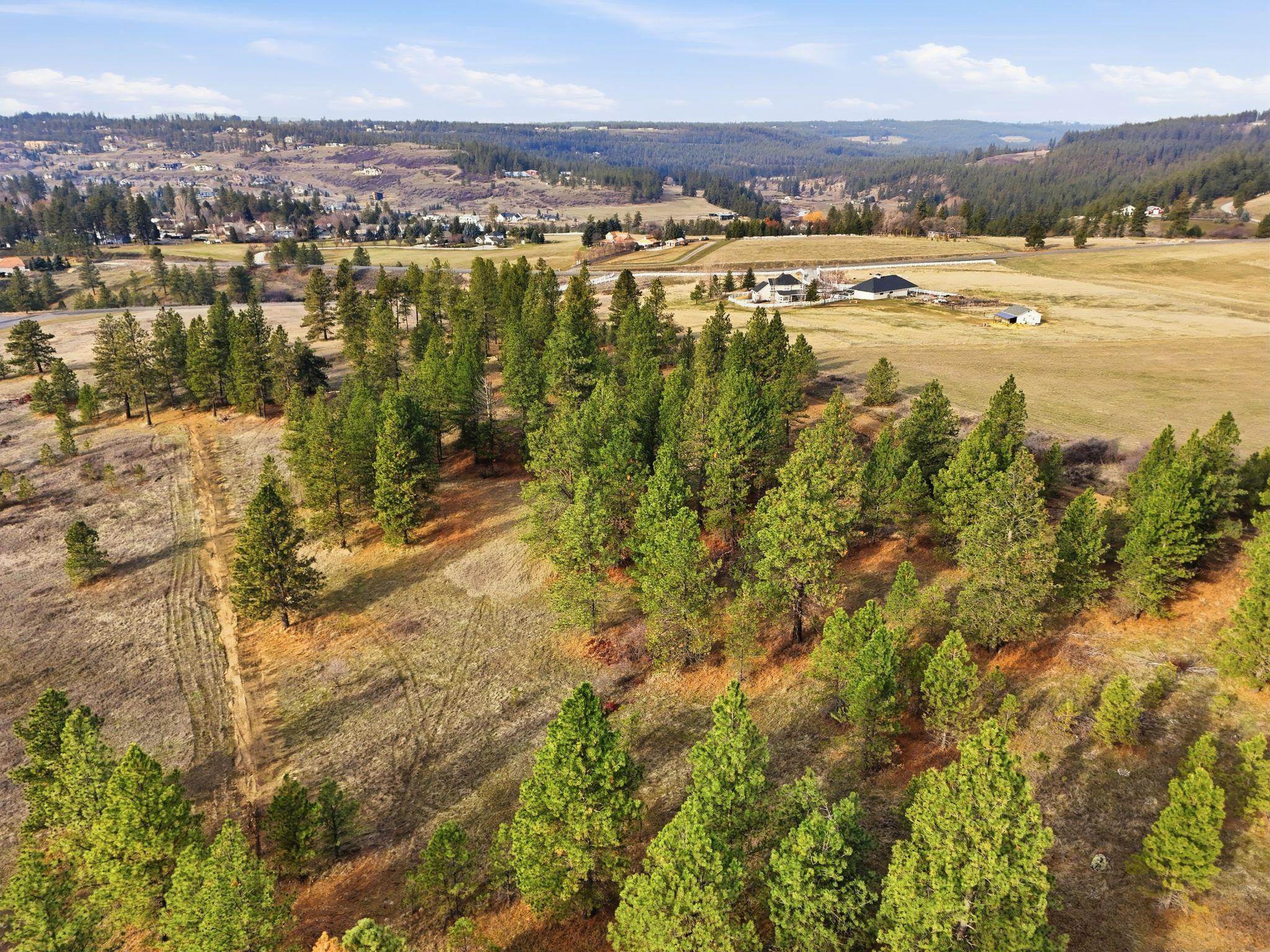 3086 E Balsam Hill Ln - Photo 6