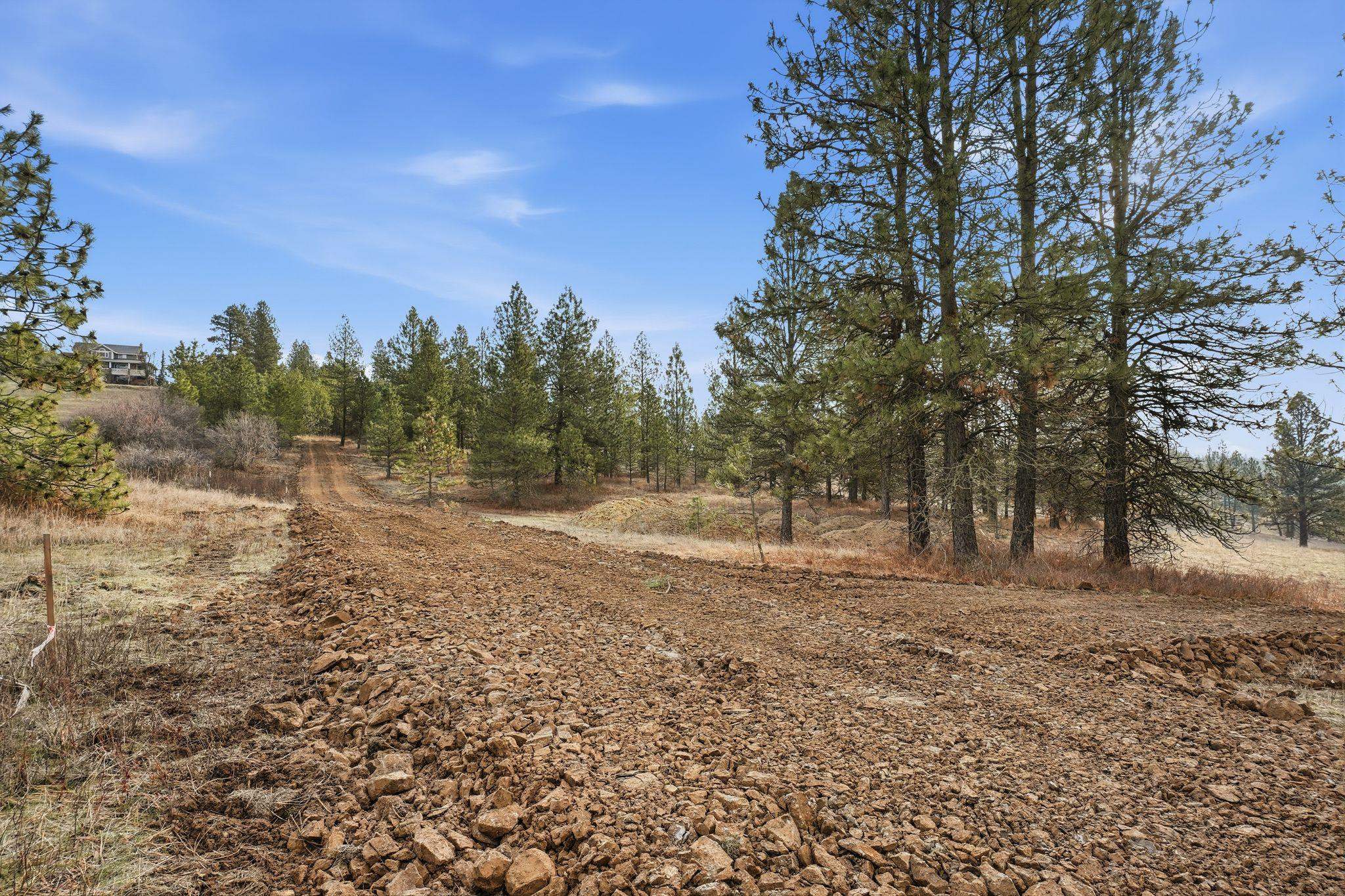 3086 E Balsam Hill Ln - Photo 9